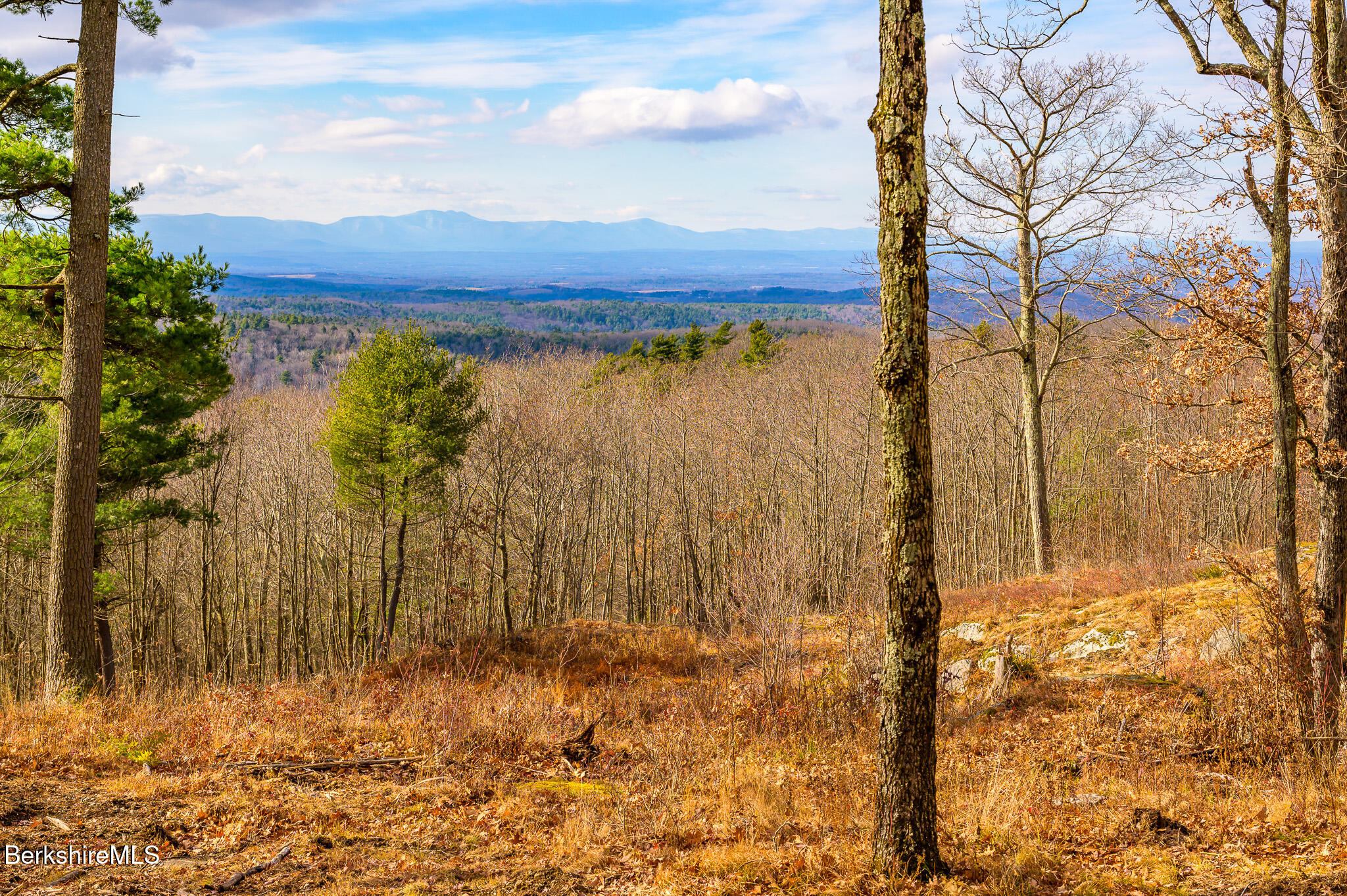 Madison Rd, Canaan, New York image 8