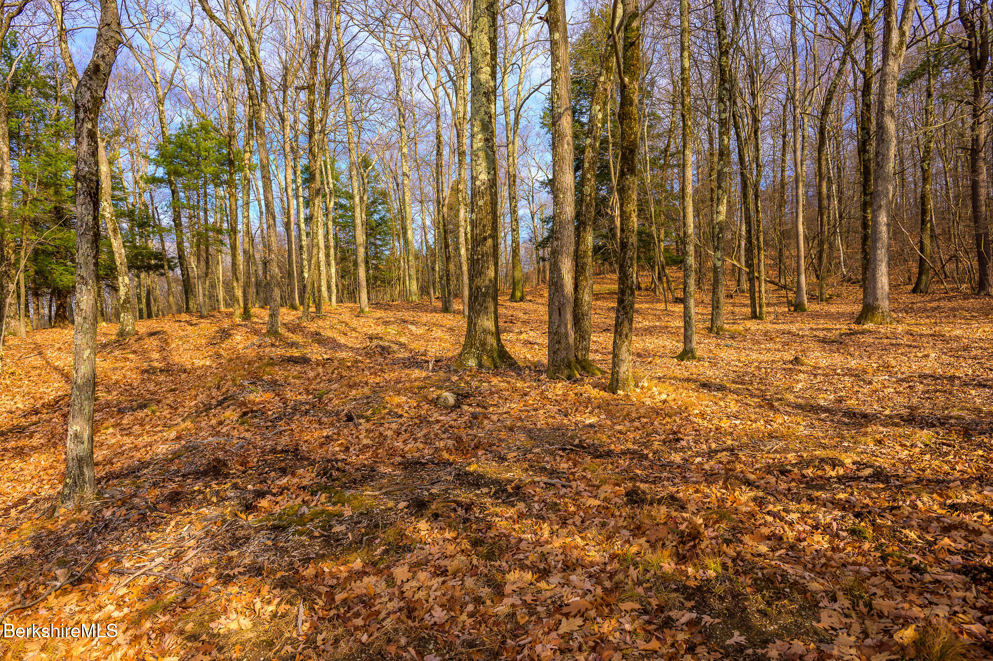 Madison Rd, Canaan, New York image 6