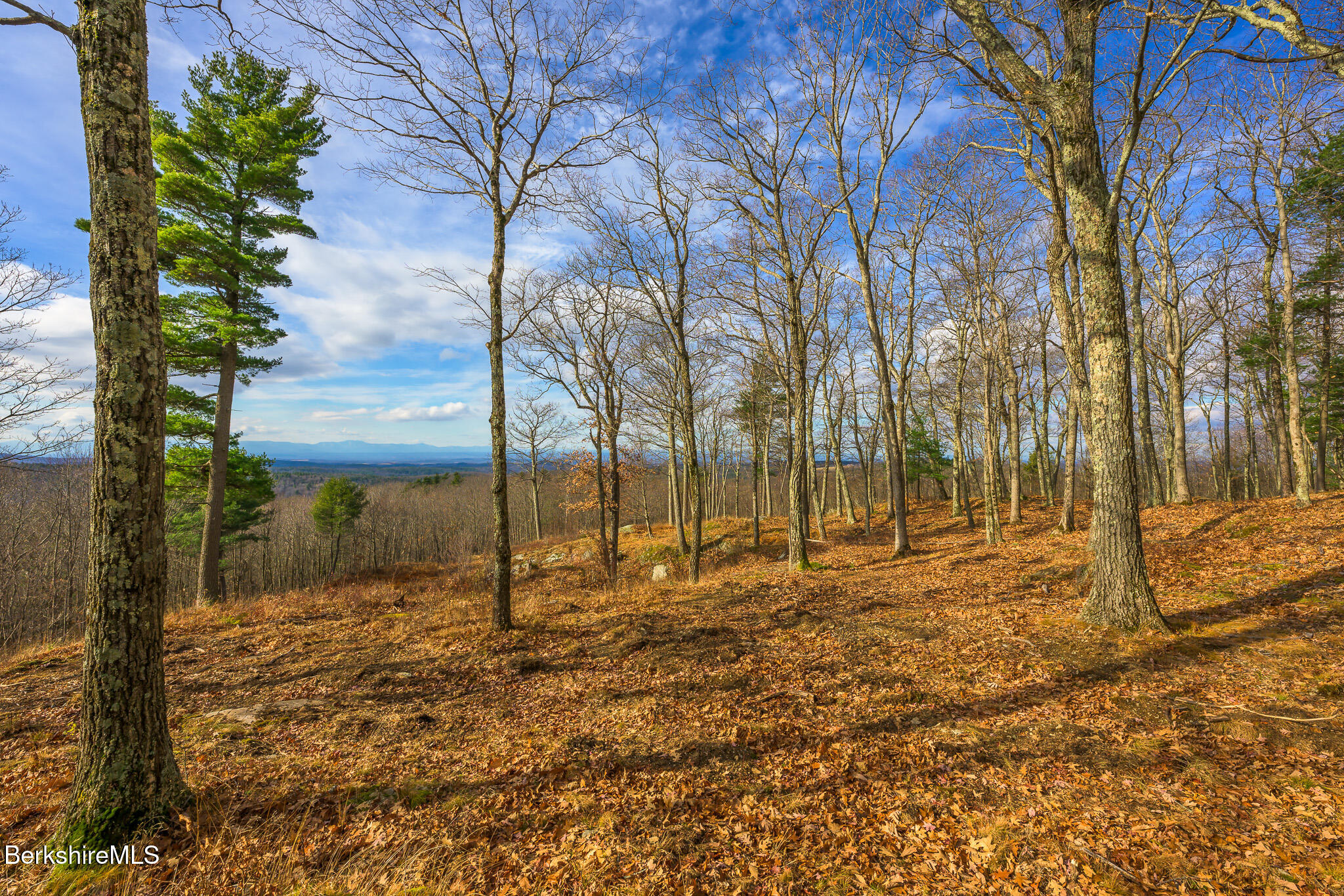 Madison Rd, Canaan, New York image 14