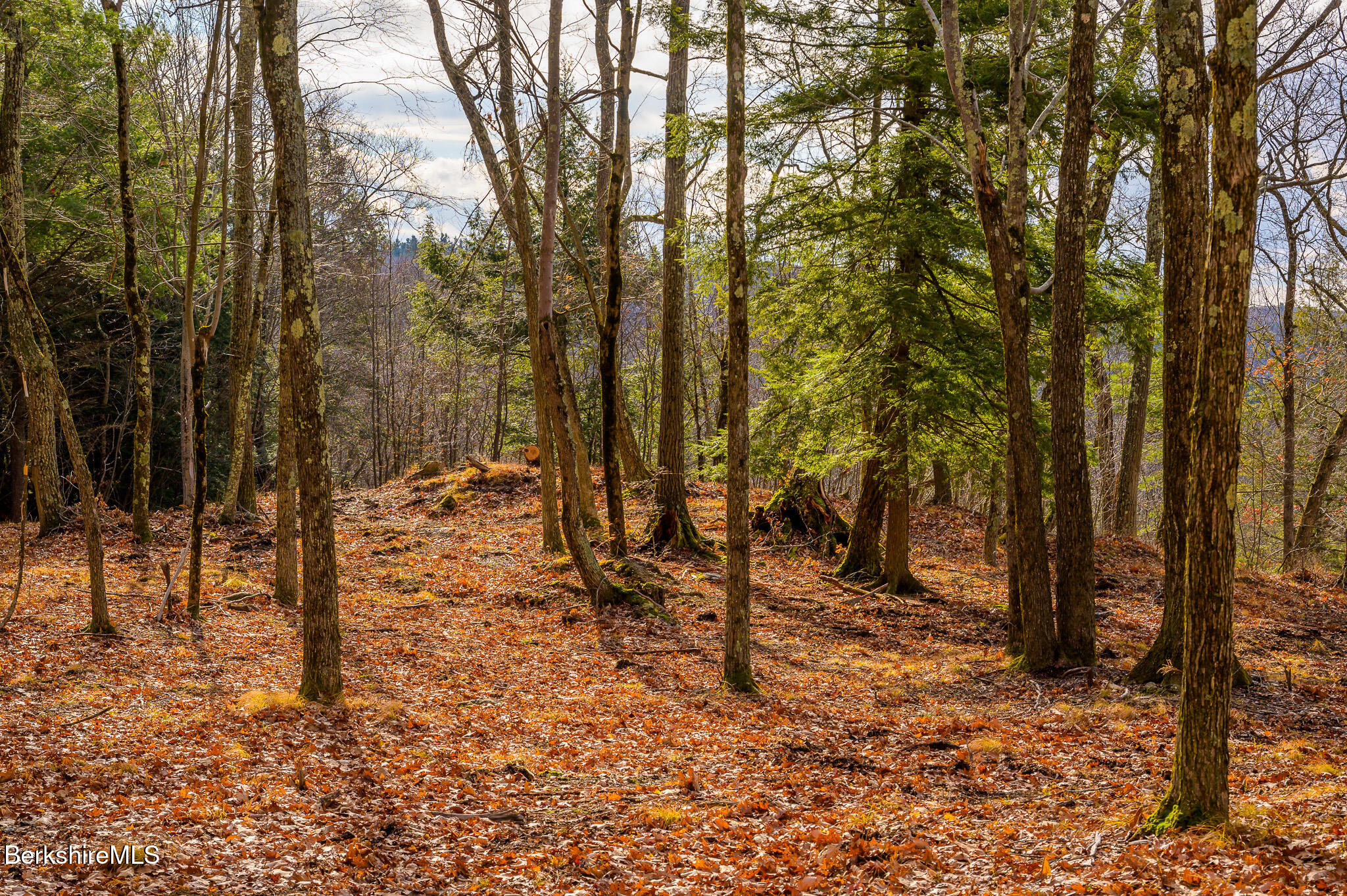 Madison Rd, Canaan, New York image 10