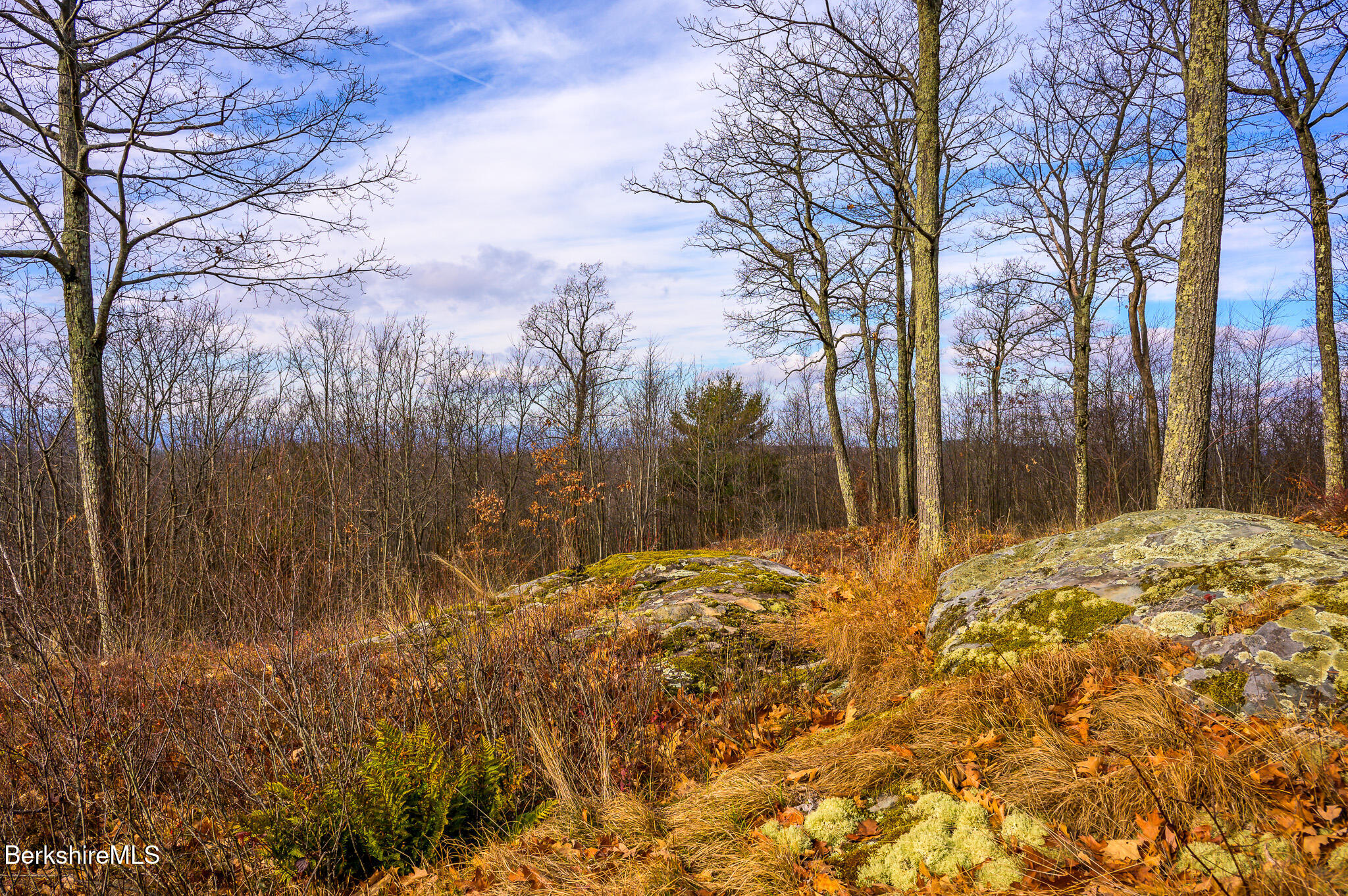 Madison Rd, Canaan, New York image 4