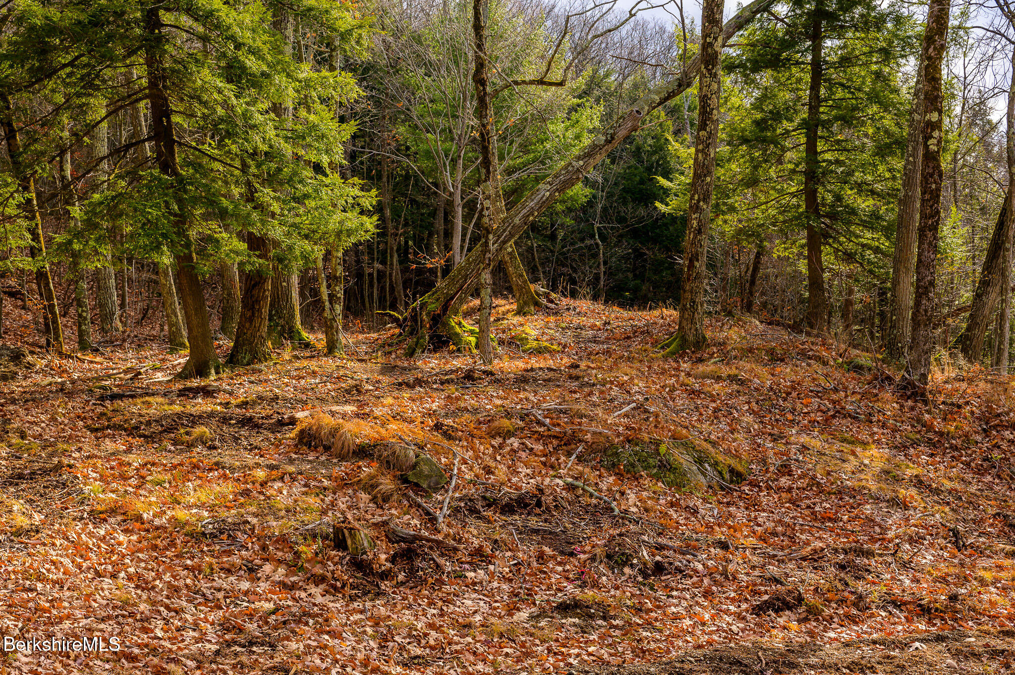 Madison Rd, Canaan, New York image 5