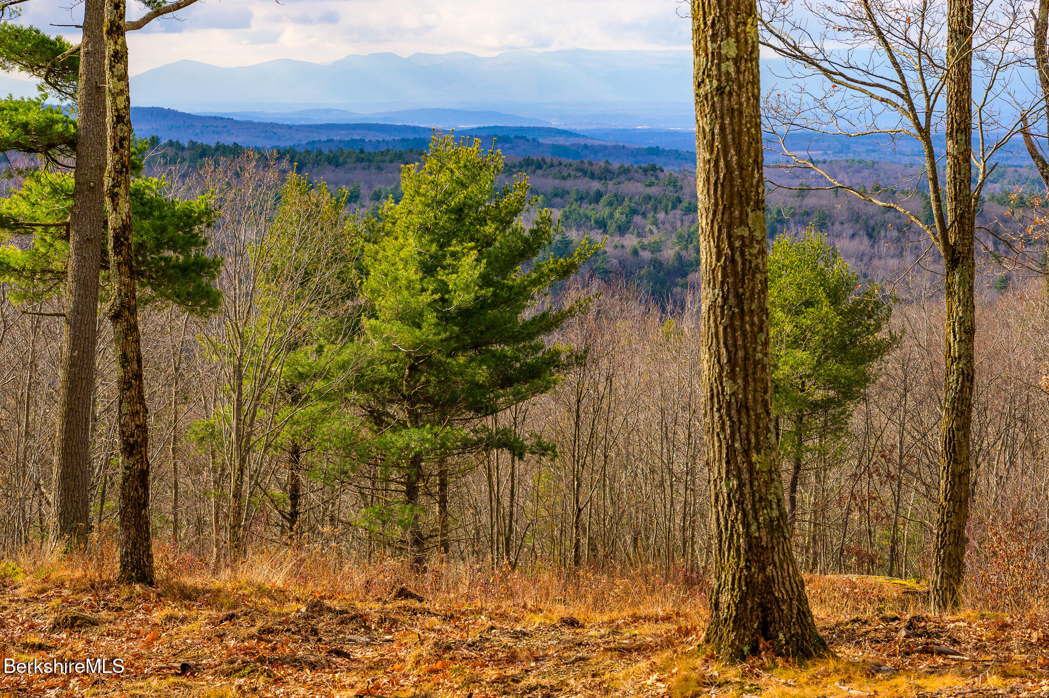 Madison Rd, Canaan, New York image 1