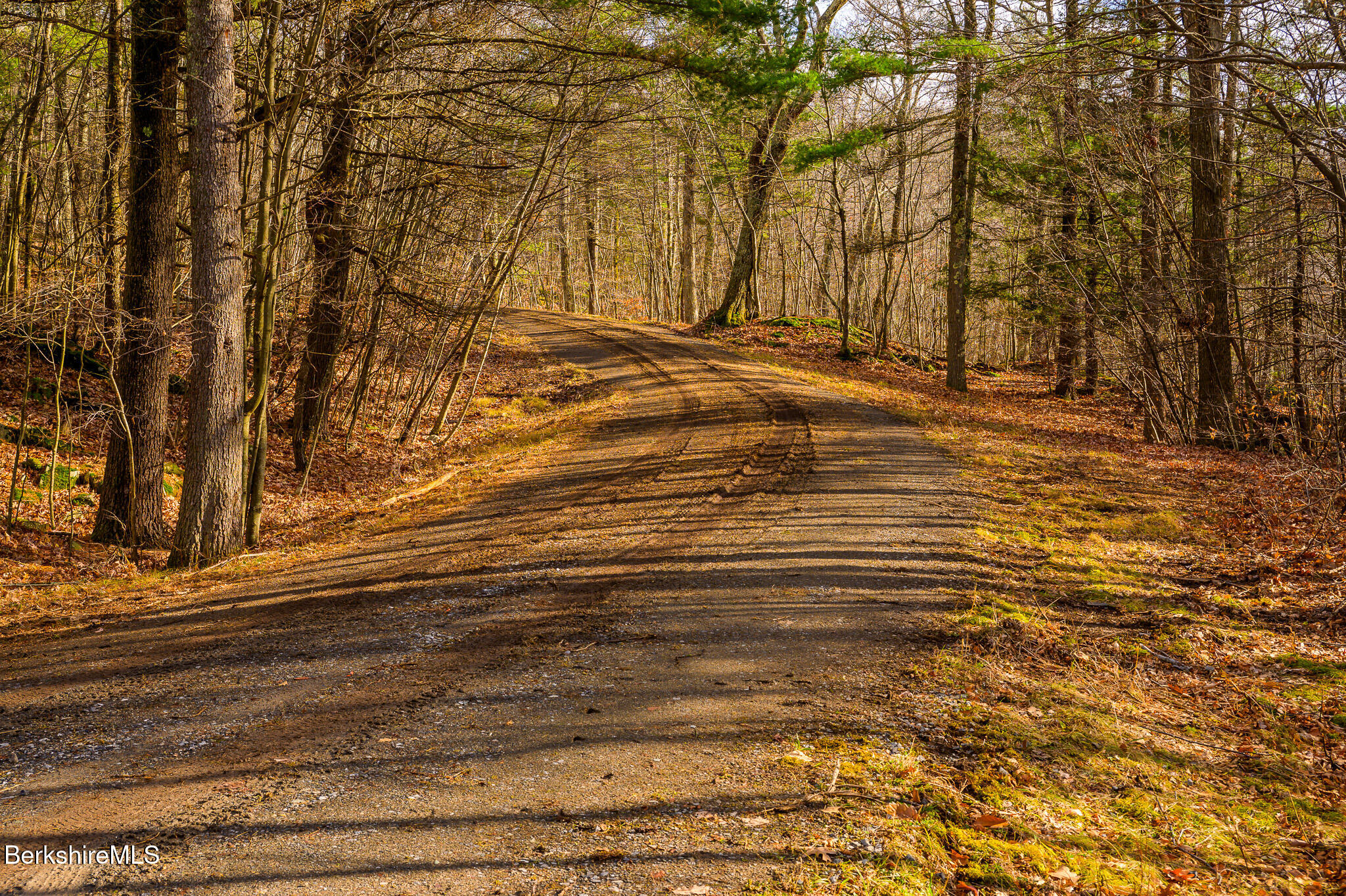 Madison Rd, Canaan, New York image 19