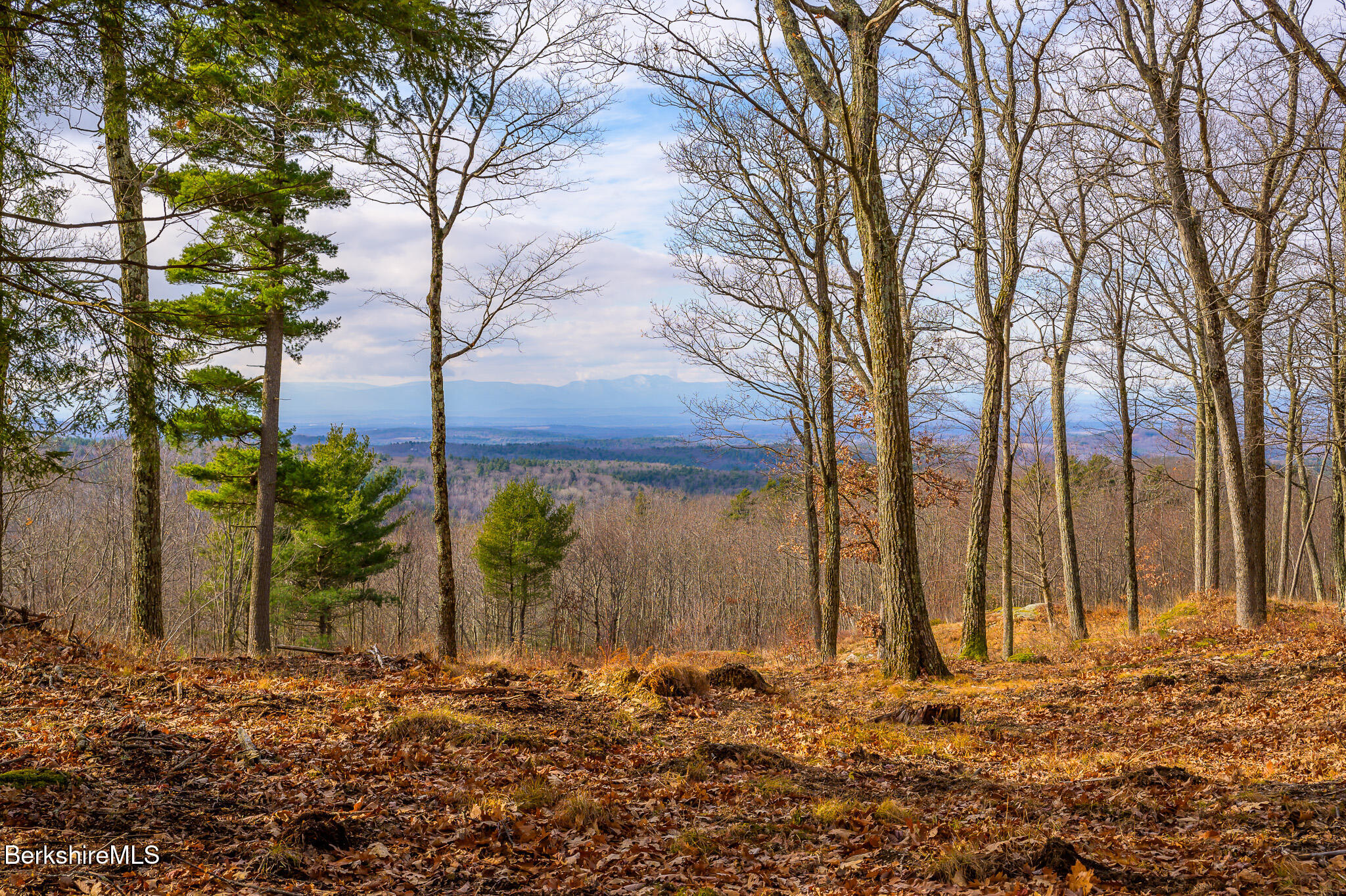 Madison Rd, Canaan, New York image 7