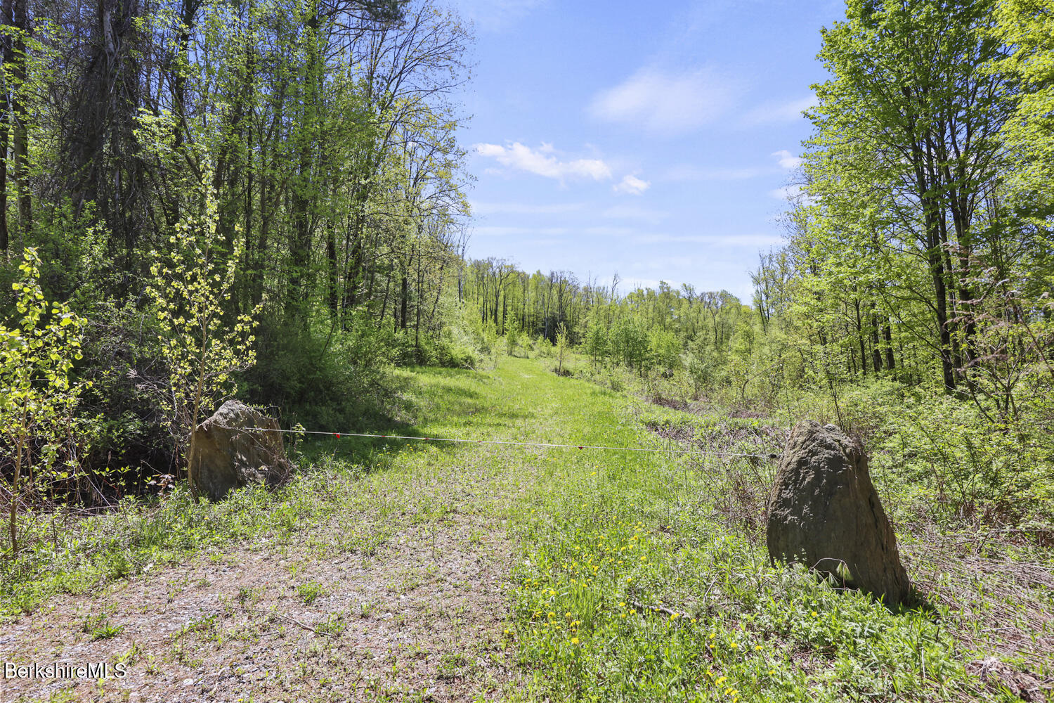 Lenox Rd, Richmond, Massachusetts image 7