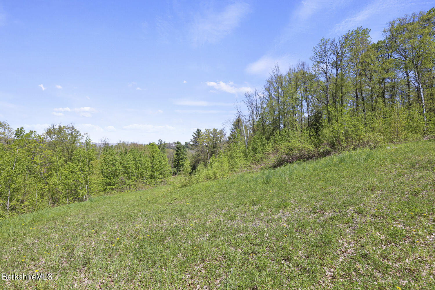 Lenox Rd, Richmond, Massachusetts image 9