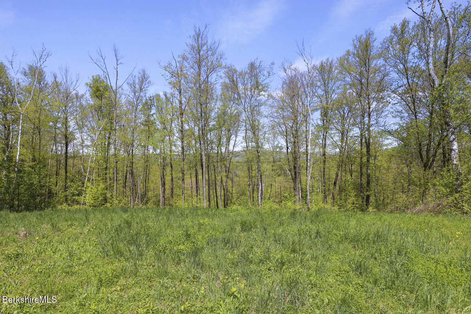 Lenox Rd, Richmond, Massachusetts image 5