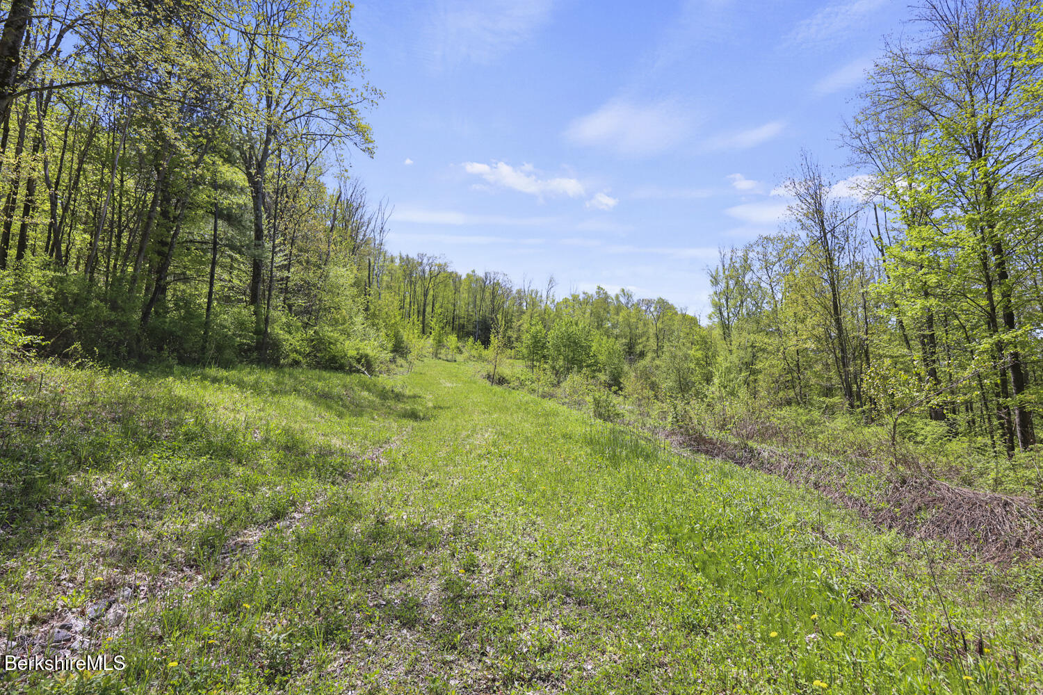 Lenox Rd, Richmond, Massachusetts image 8