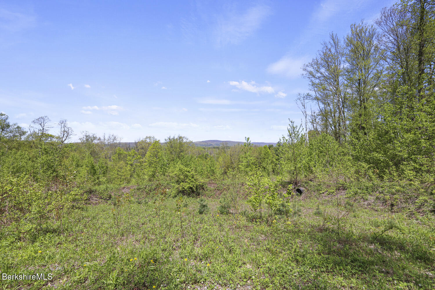 Lenox Rd, Richmond, Massachusetts image 10