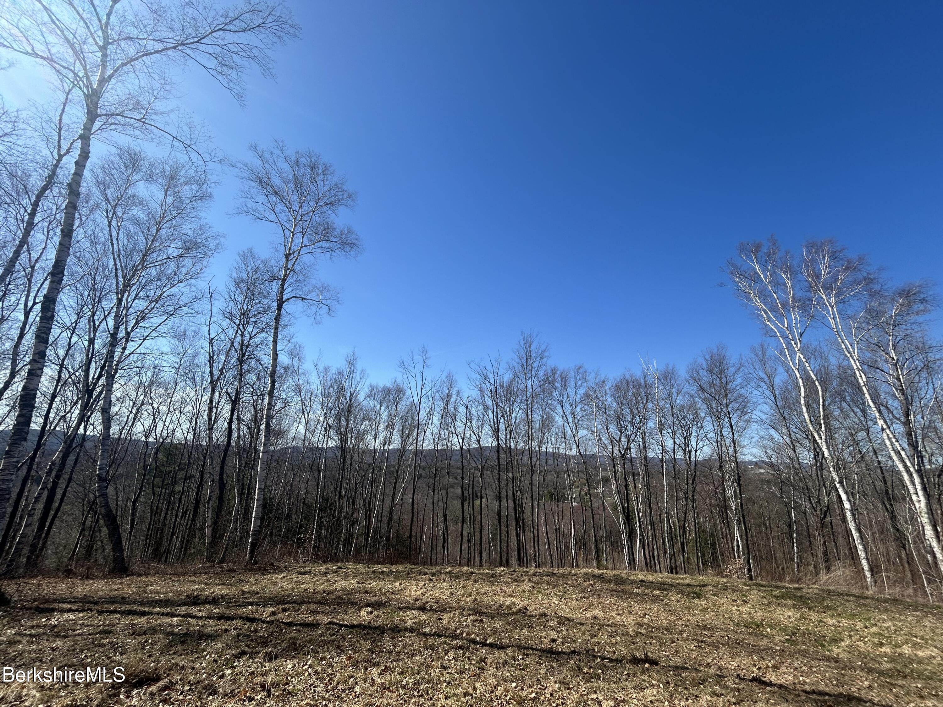 Lenox Rd, Richmond, Massachusetts image 17