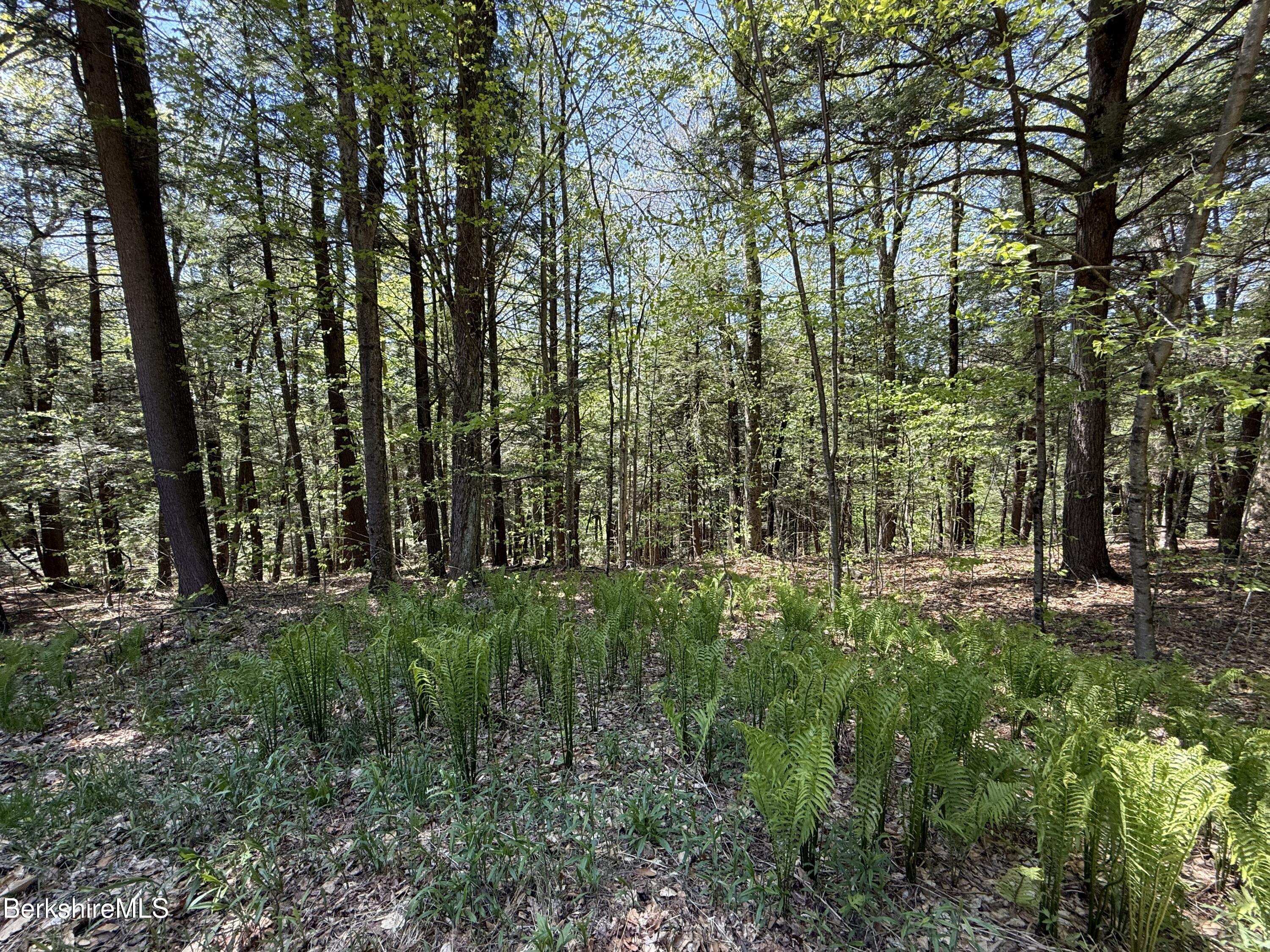 95 Sugar House Rd, Otis, Massachusetts image 37