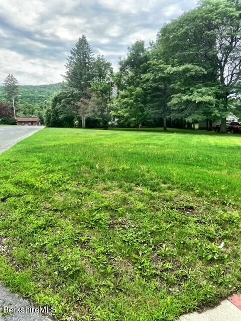 Vacant Land For Sale - 750 Main St<br/> Dalton, MA 01226