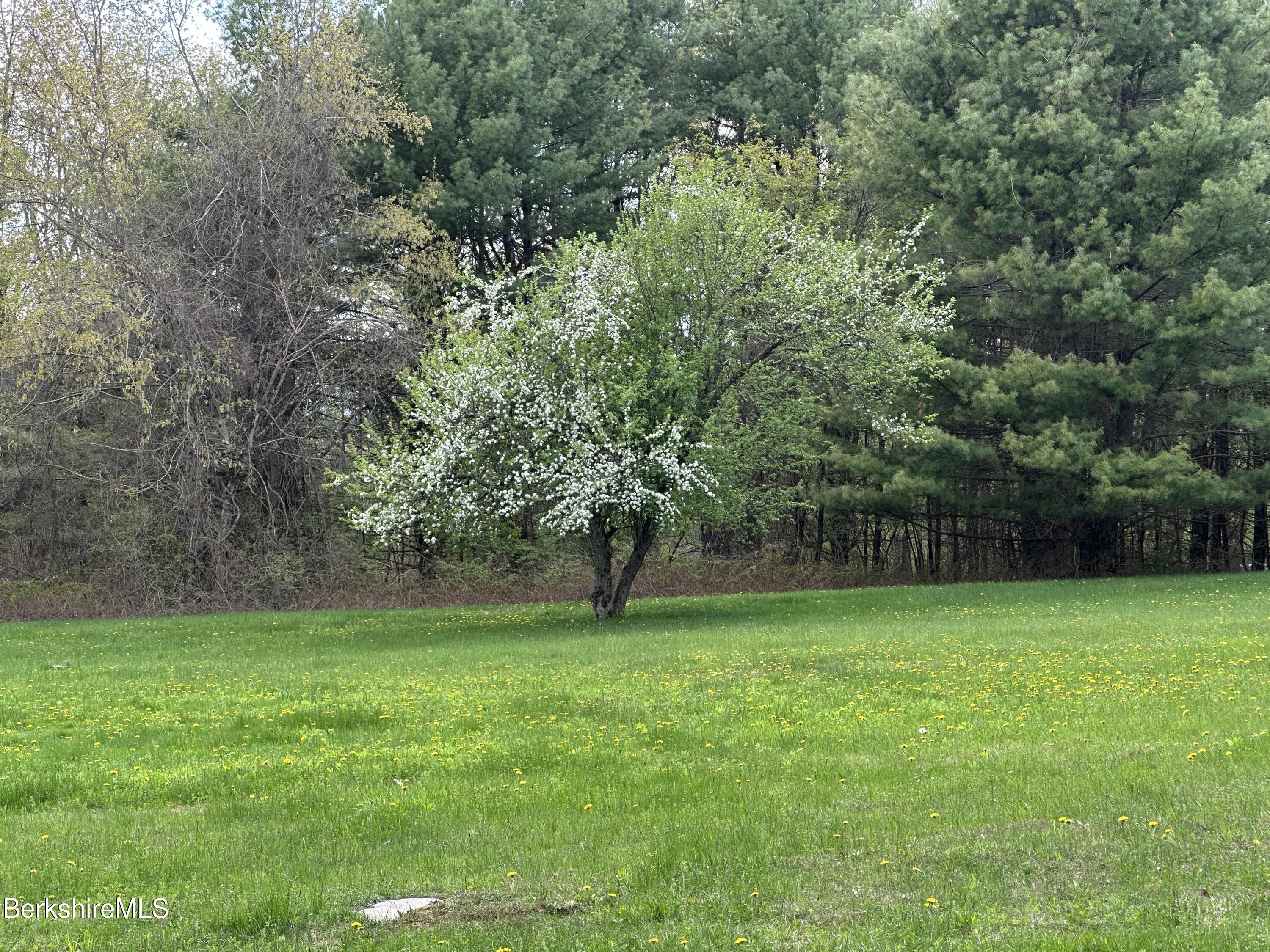 570 Hartsville-new Marlborough Rd, New Marlborough, New Jersey image 5