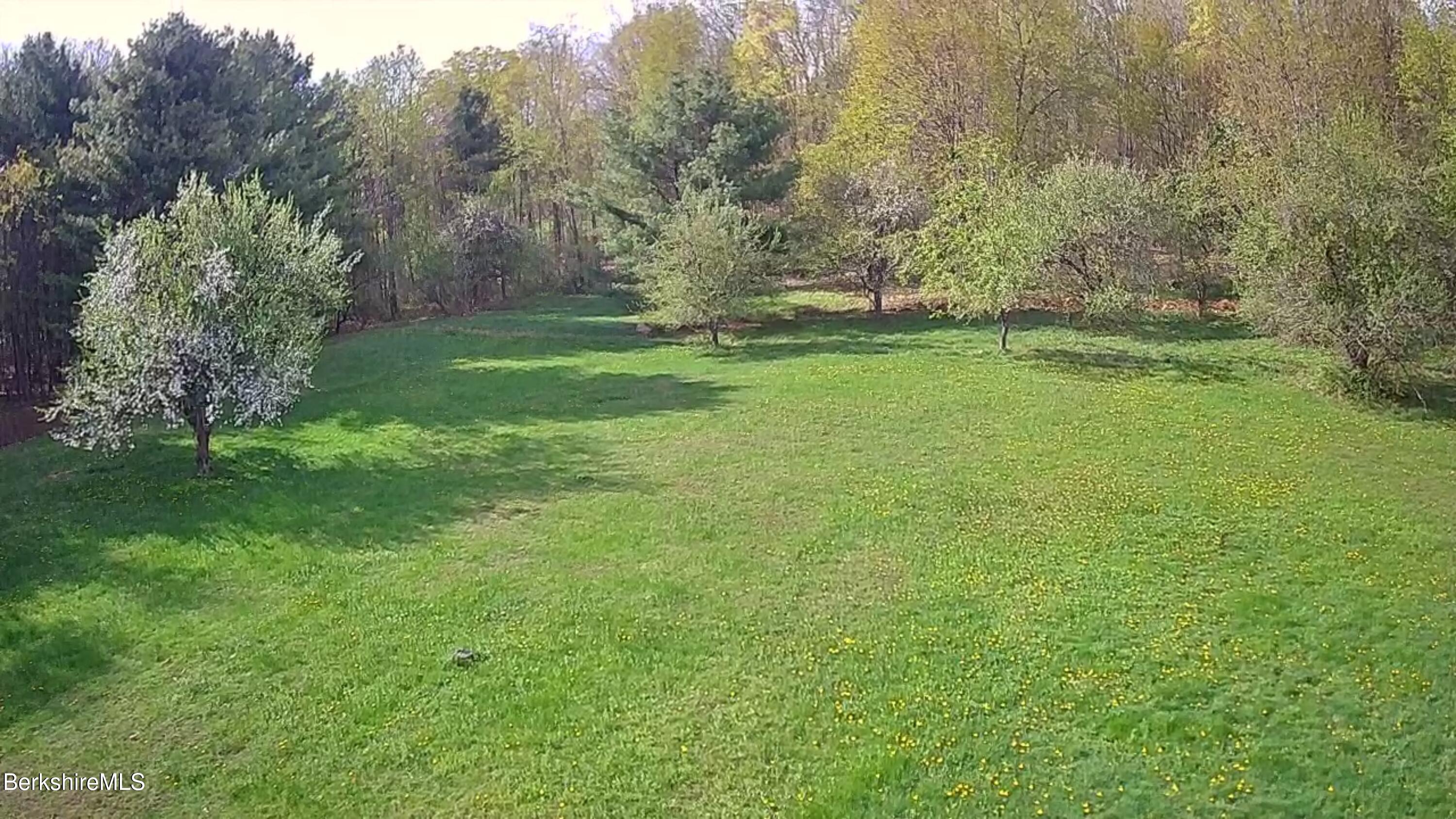 570 Hartsville-new Marlborough Rd, New Marlborough, New Jersey image 8