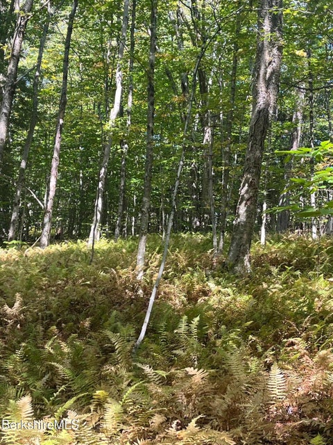 Vacant Land For Sale - Central Shaft Rd<br/> Florida, MA 01247