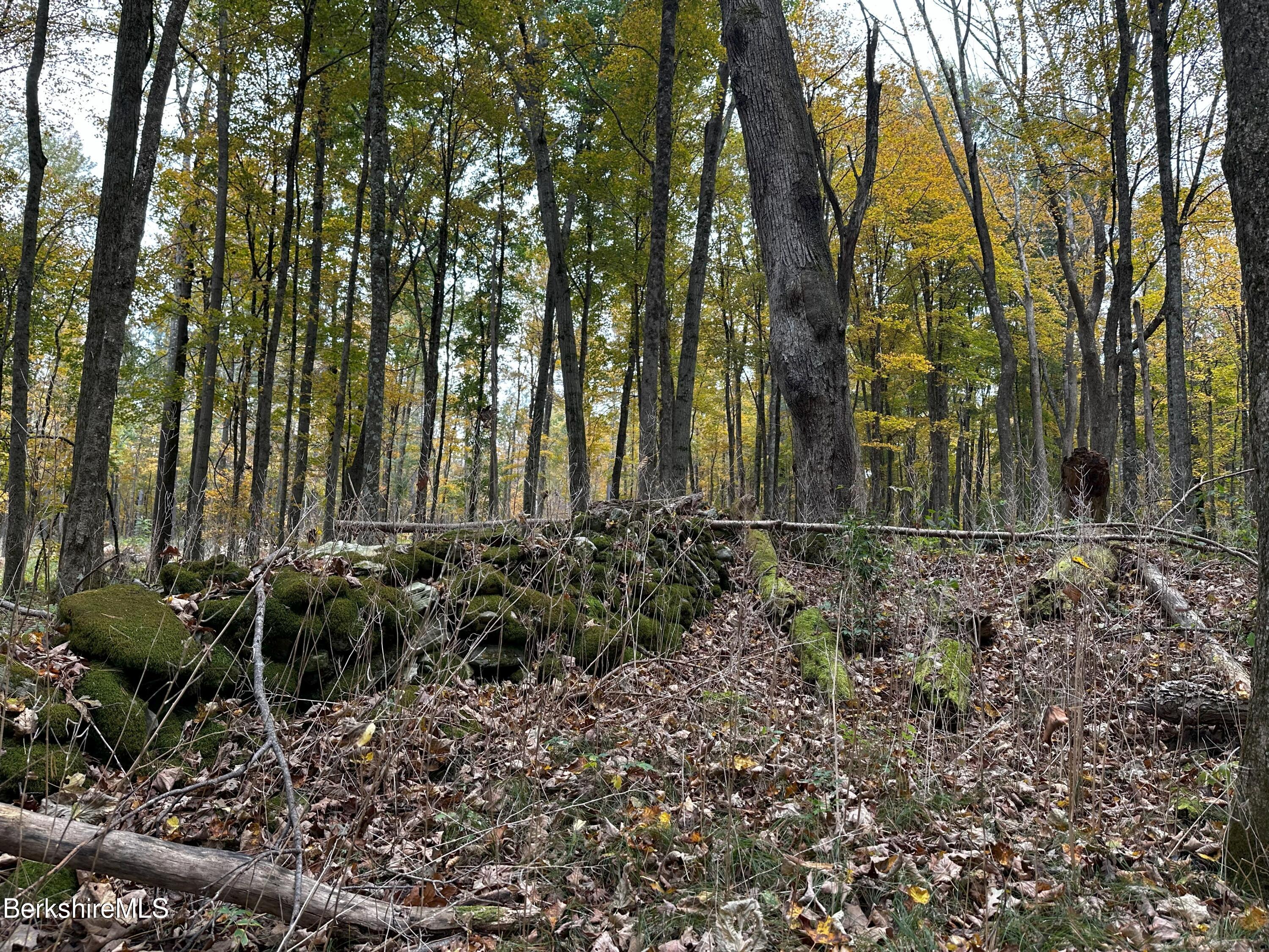 Blunt Rd, Egremont, Massachusetts image 2