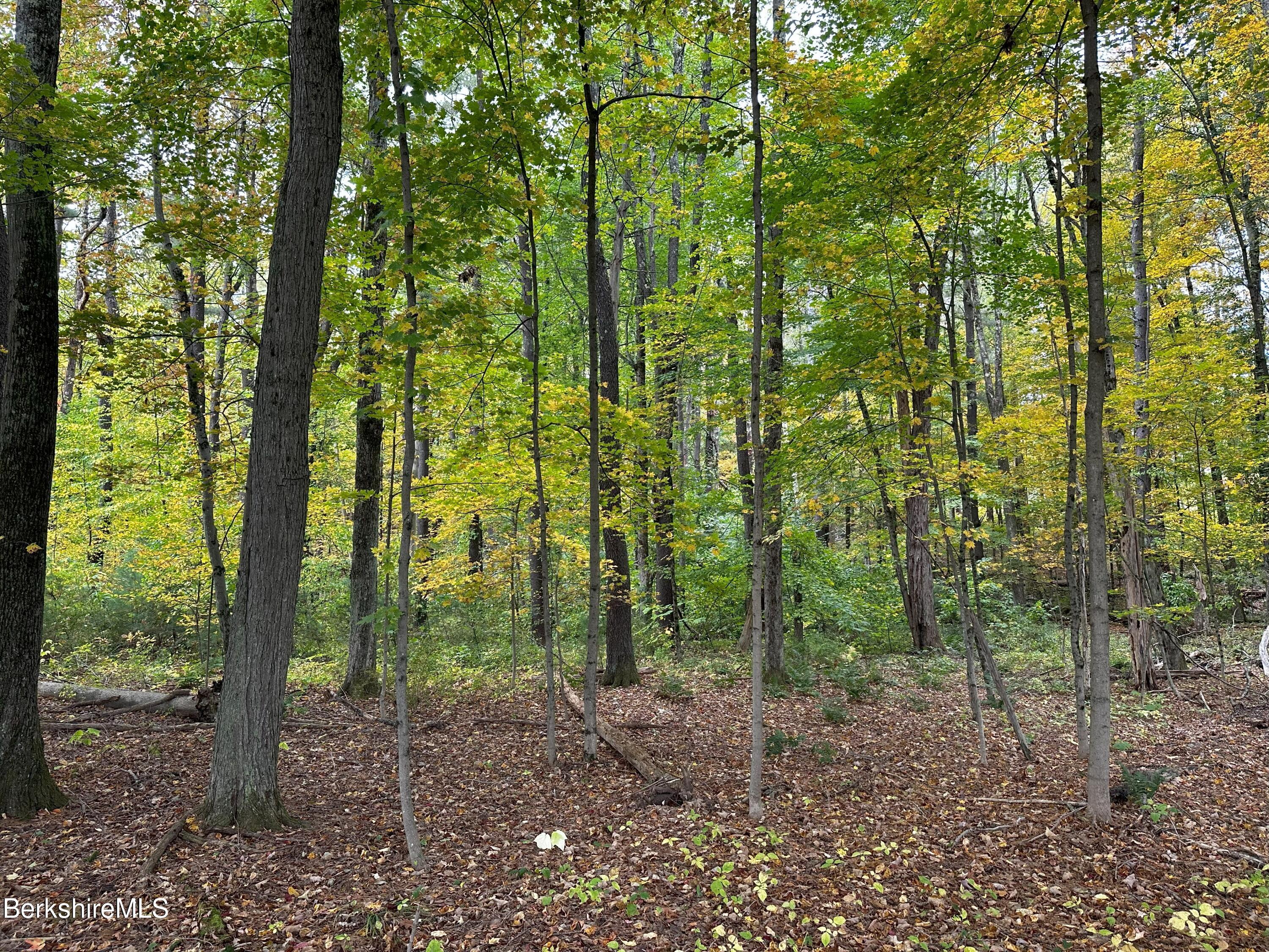 Blunt Rd, Egremont, Massachusetts image 3