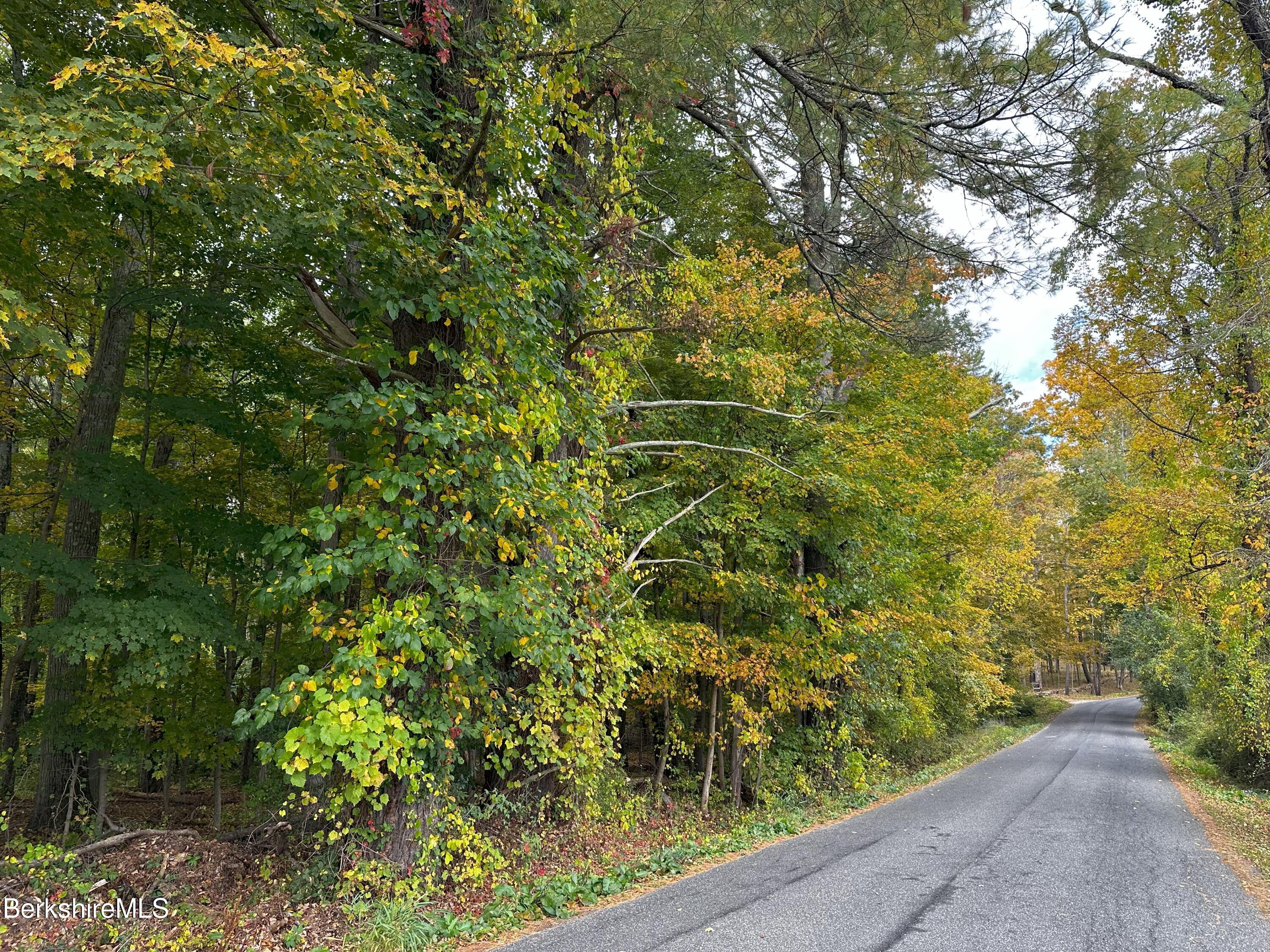 Blunt Rd, Egremont, Massachusetts image 1