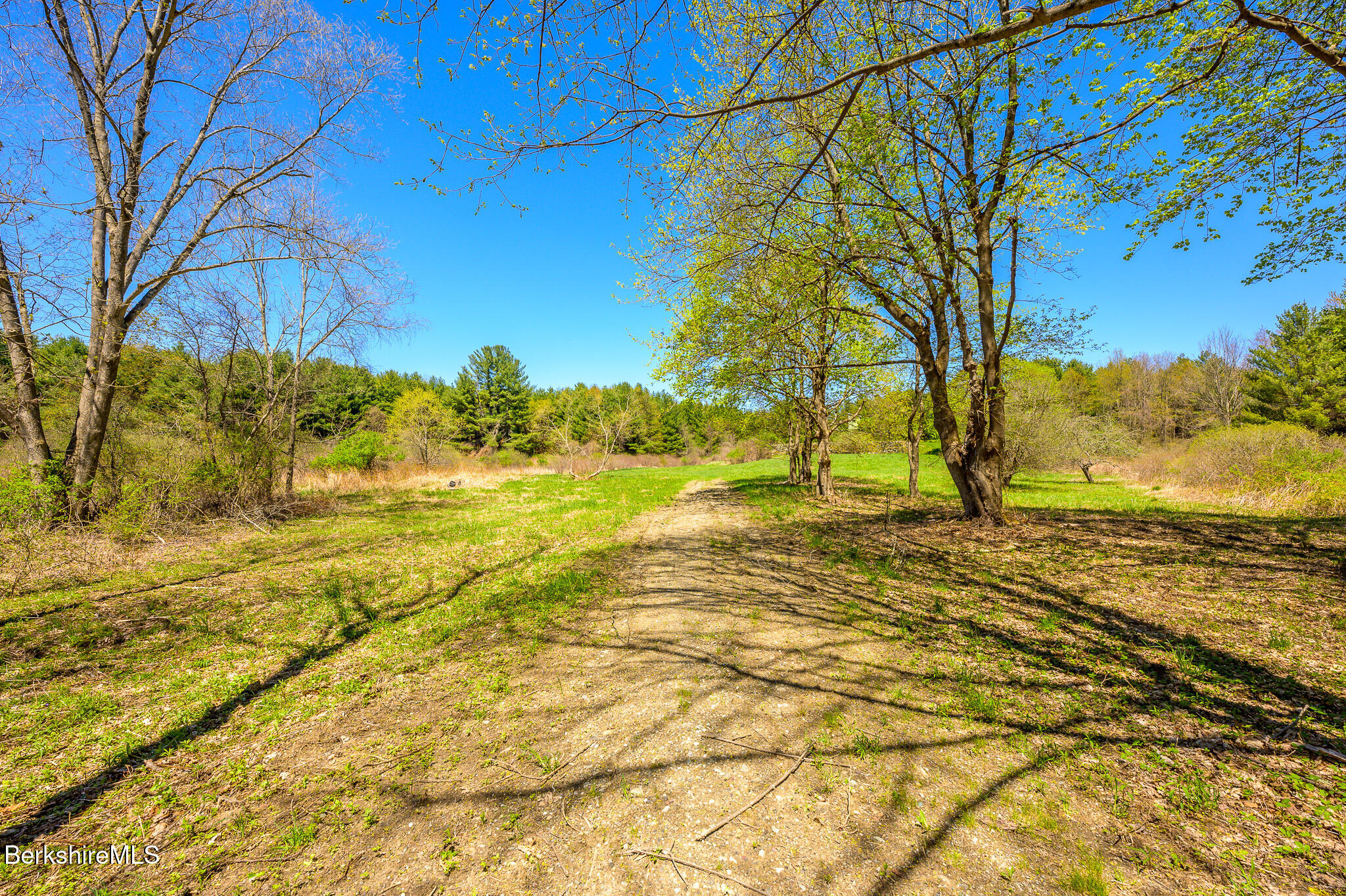 Mitchell St, Hillsdale, New York image 7