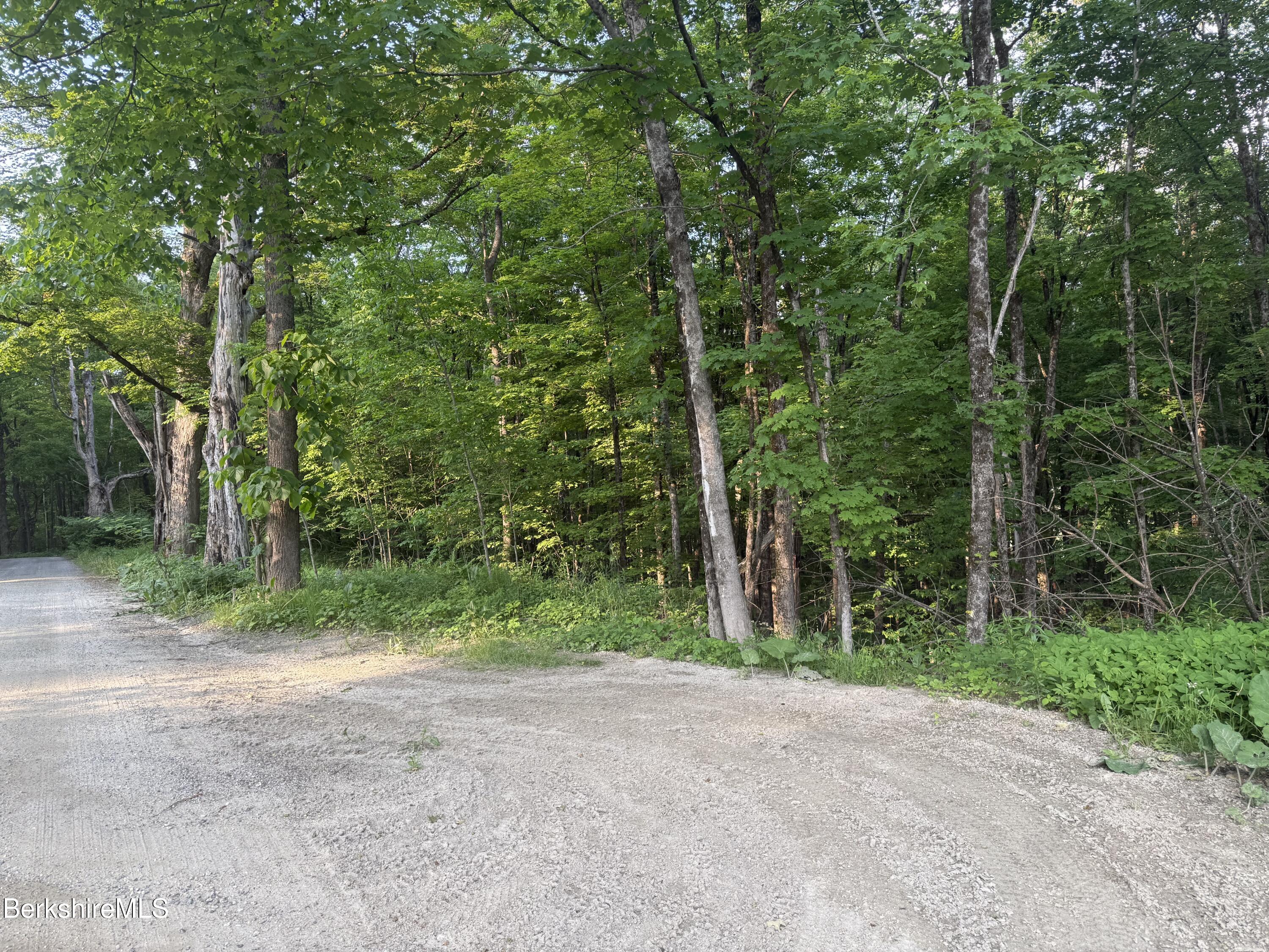 Lot 5 Watson Rd, Hinsdale, Massachusetts image 4