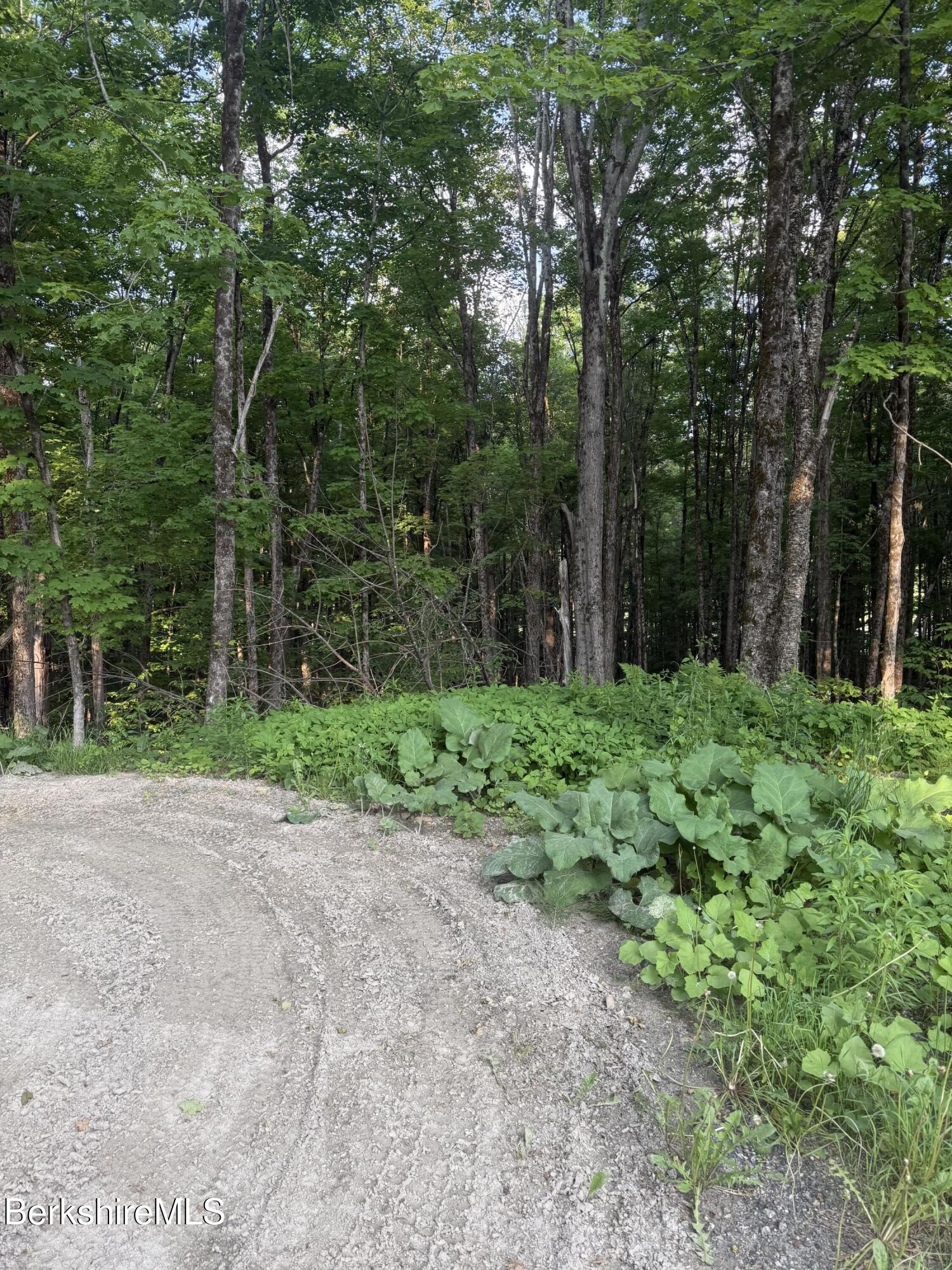 Lot 5 Watson Rd, Hinsdale, Massachusetts image 6