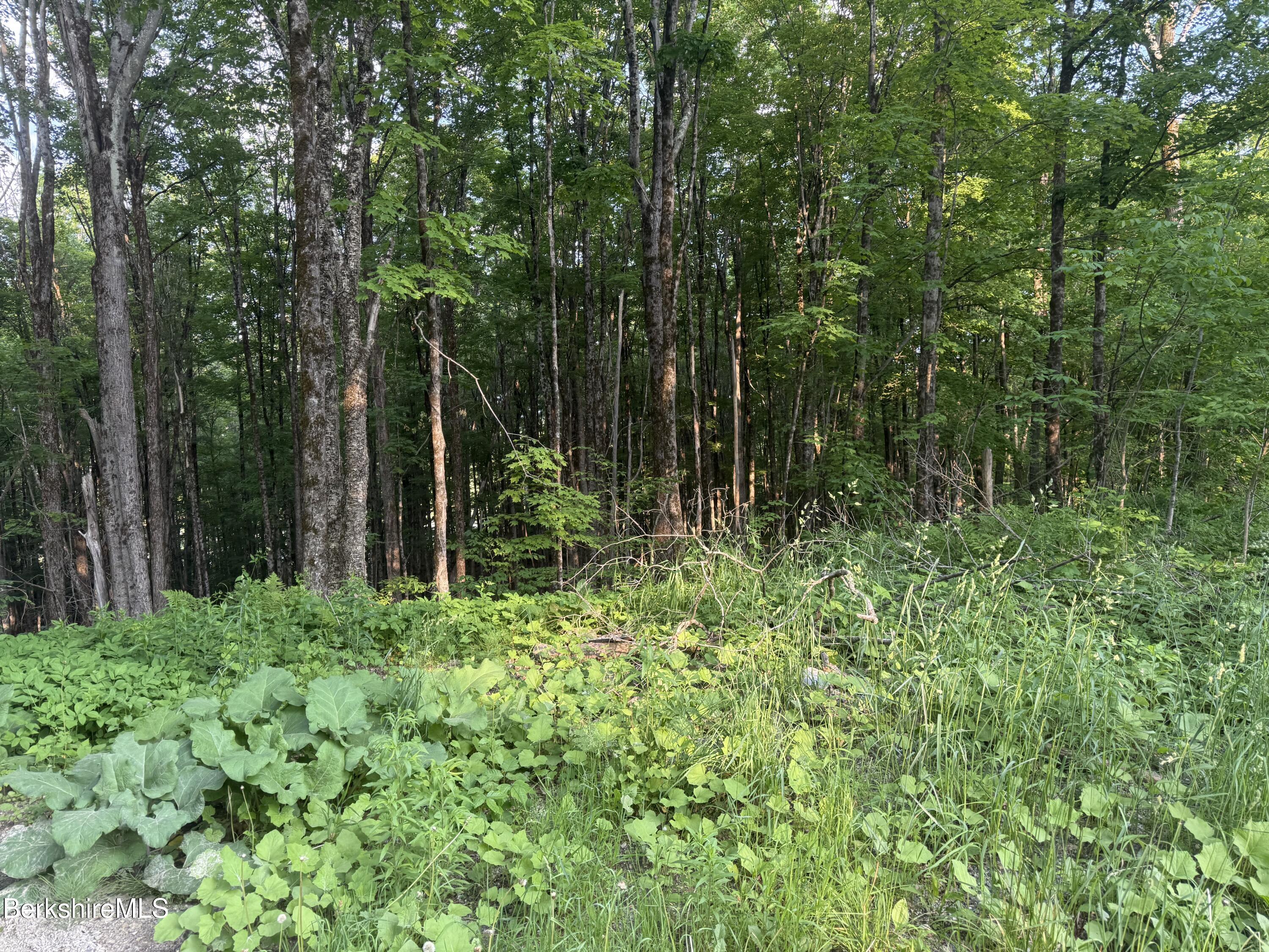 Lot 5 Watson Rd, Hinsdale, Massachusetts image 5