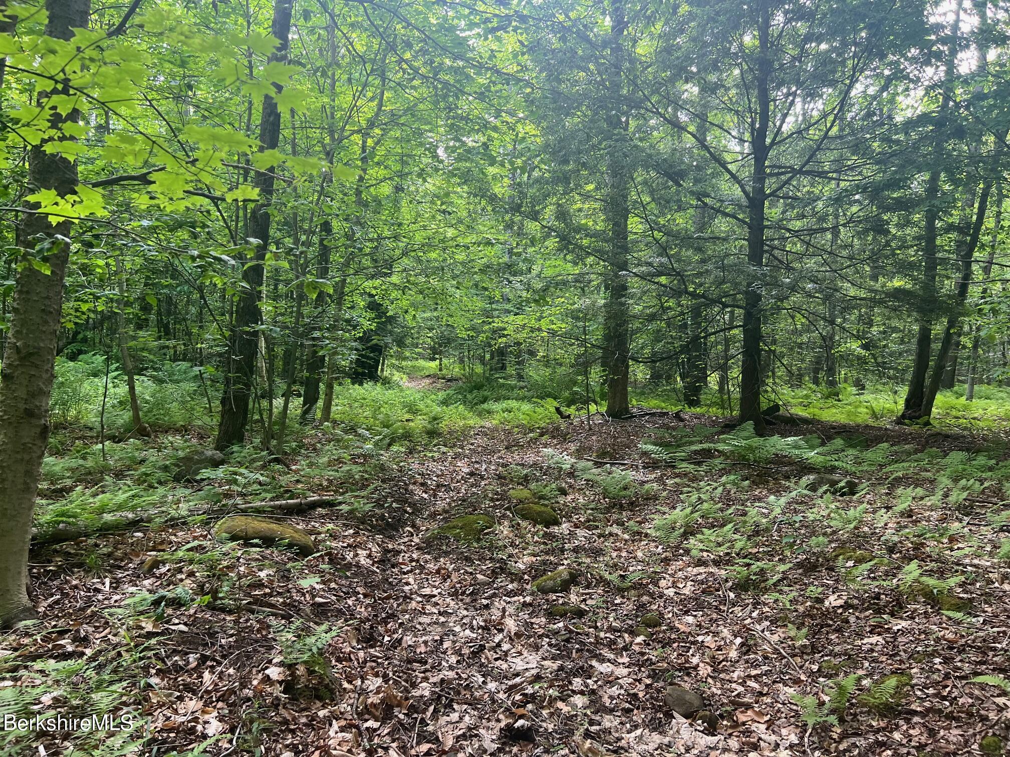 Johnny Cake Hill Rd, Middlefield, Massachusetts image 4