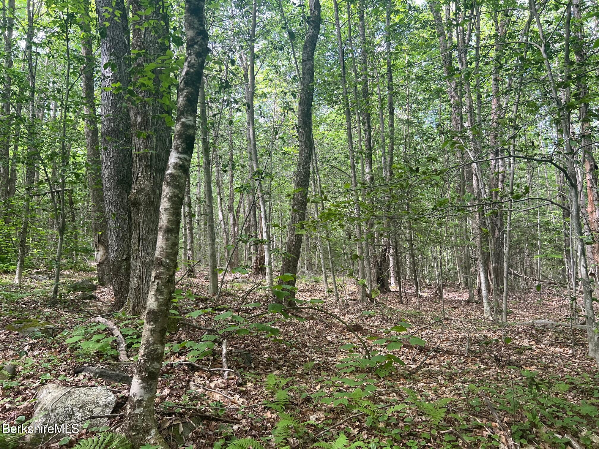 Johnny Cake Hill Rd, Middlefield, Massachusetts image 5