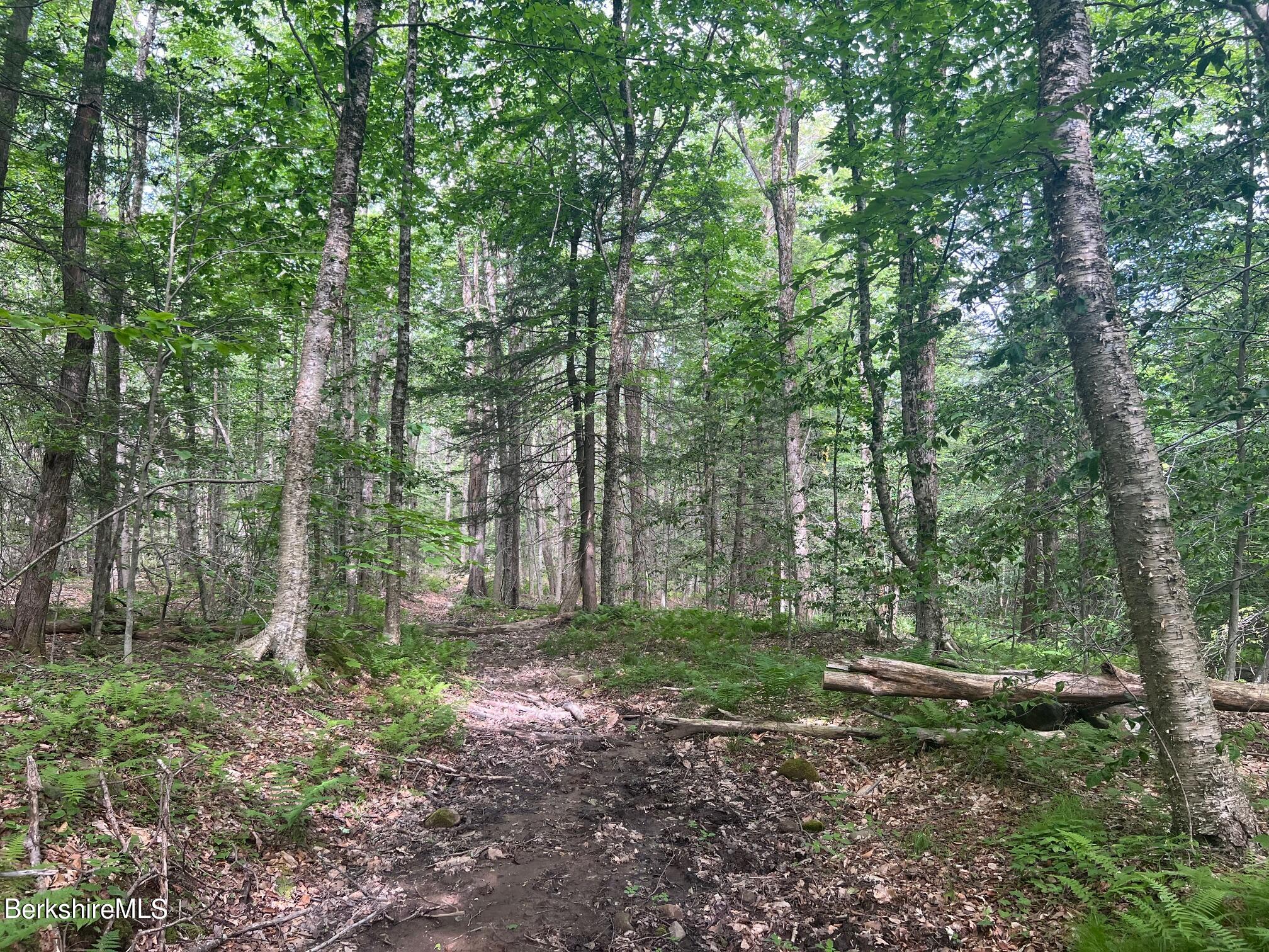 Johnny Cake Hill Rd, Middlefield, Massachusetts image 8
