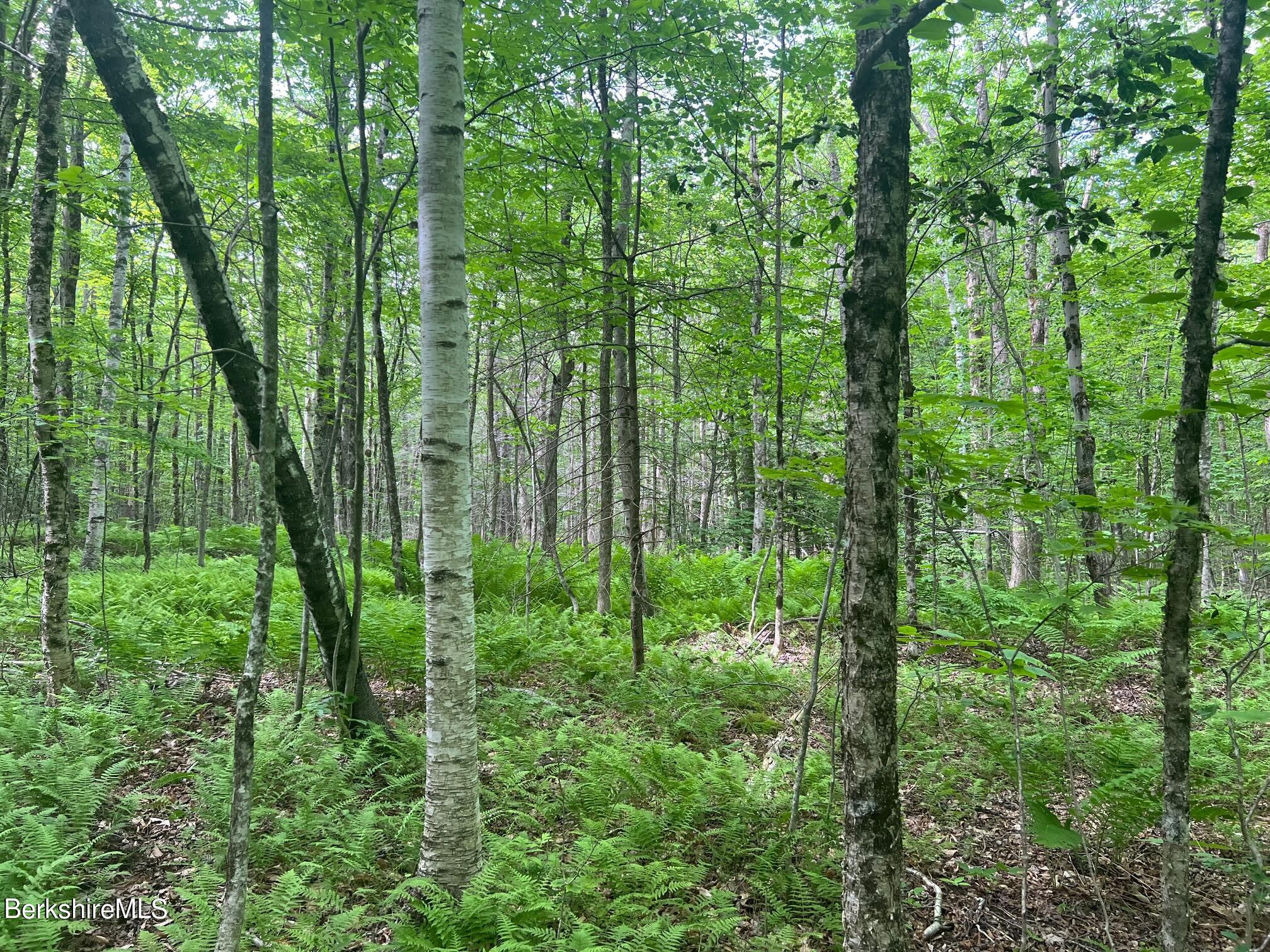 Johnny Cake Hill Rd, Middlefield, Massachusetts image 2