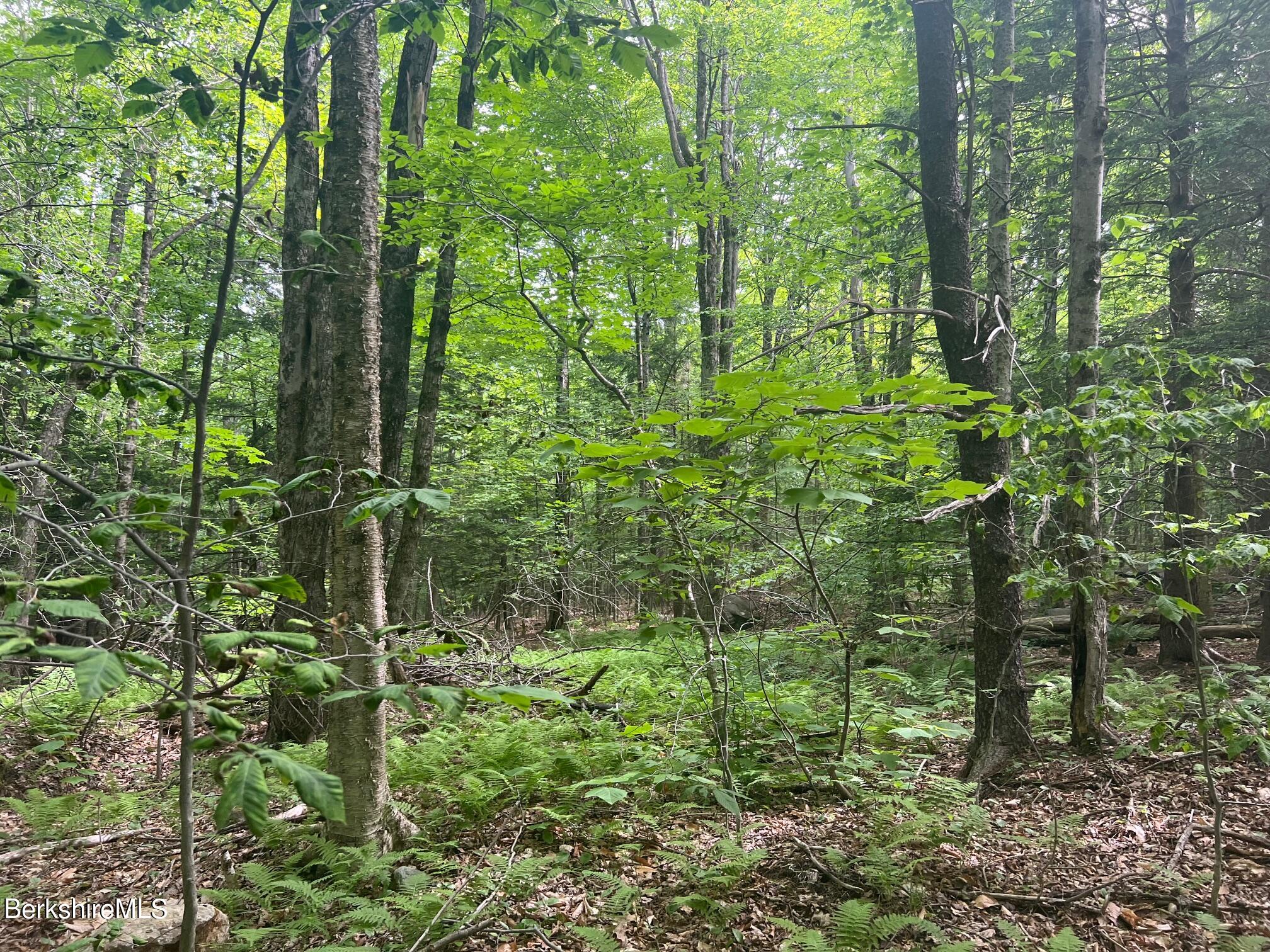 Johnny Cake Hill Rd, Middlefield, Massachusetts image 7