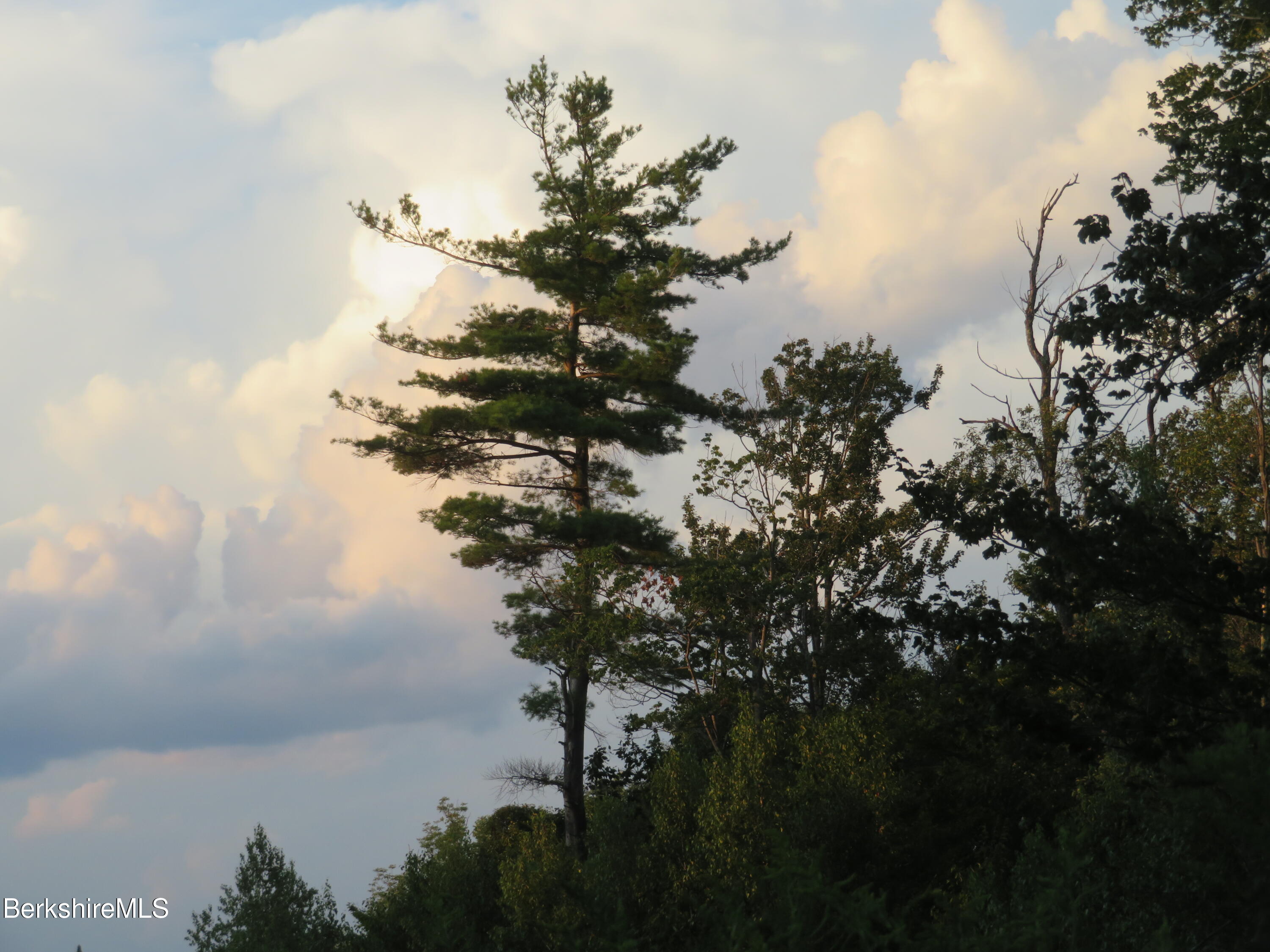 Johnny Cake Hill Rd, Middlefield, Massachusetts image 6