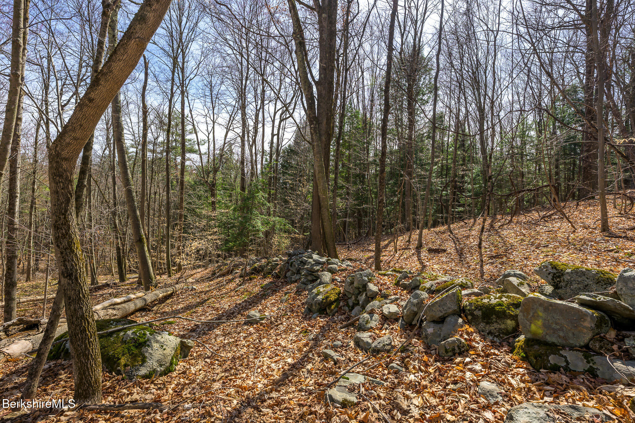 1242 Garfield Rd, Stephentown, New York image 40