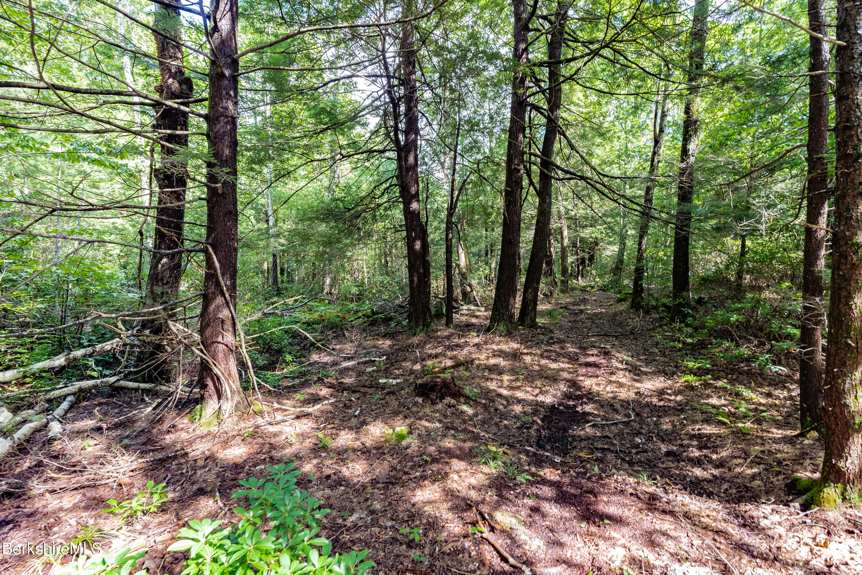 55 Otis-tolland Rd, Lot 2 --, Blandford, Massachusetts image 7