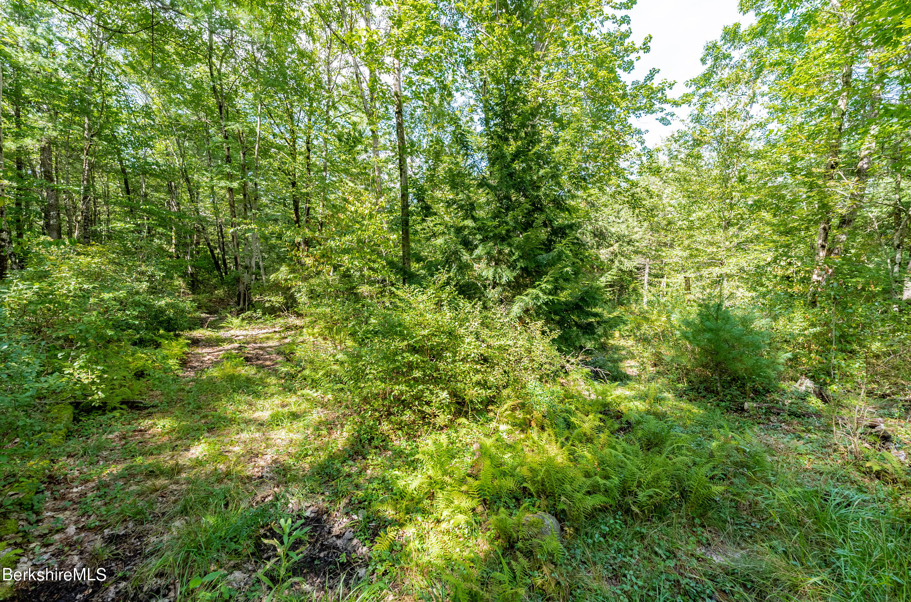 55 Otis-tolland Rd, Lot 2 --, Blandford, Massachusetts image 4