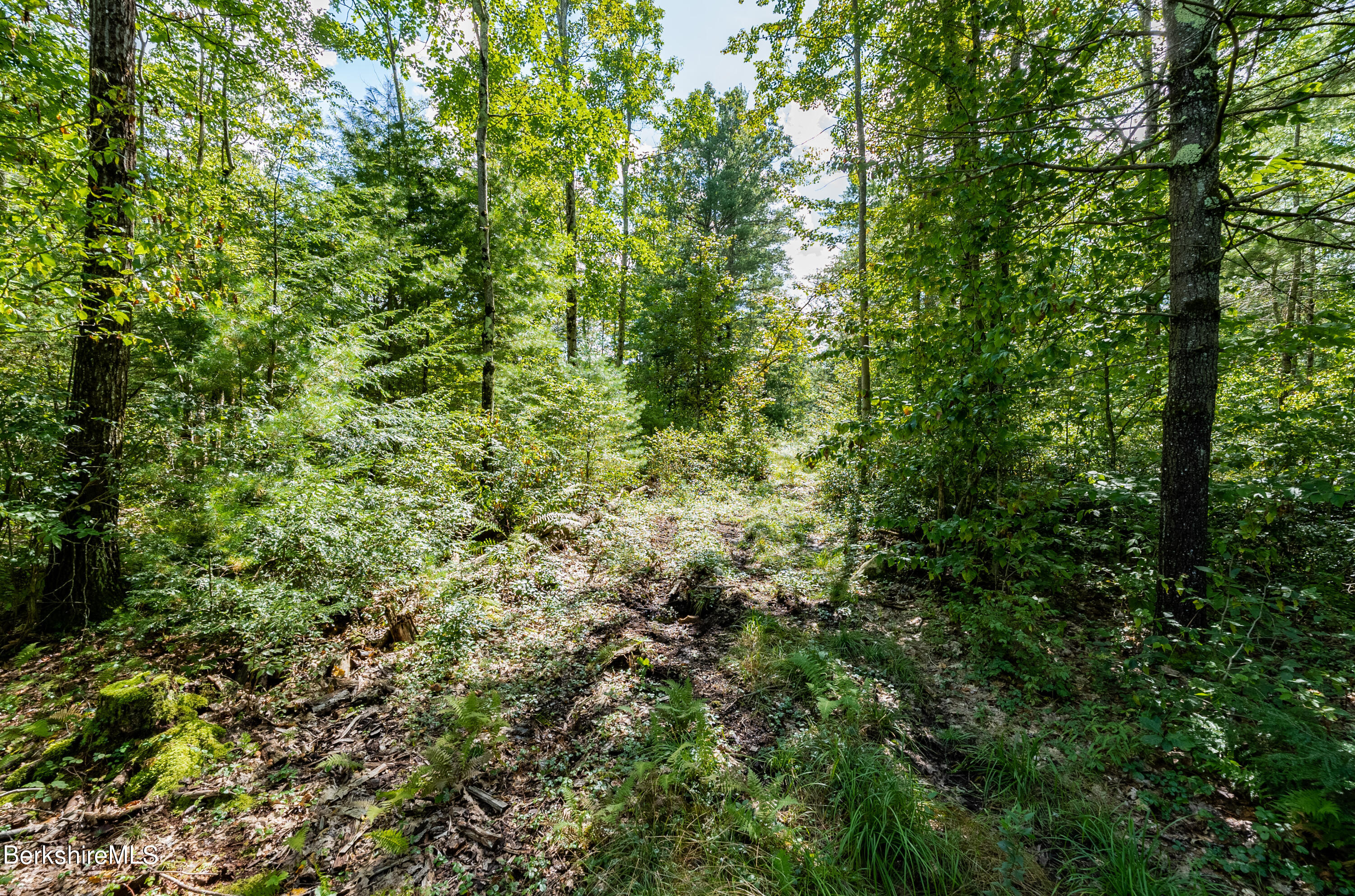 55 Otis-tolland Rd, Lot 2 --, Blandford, Massachusetts image 5