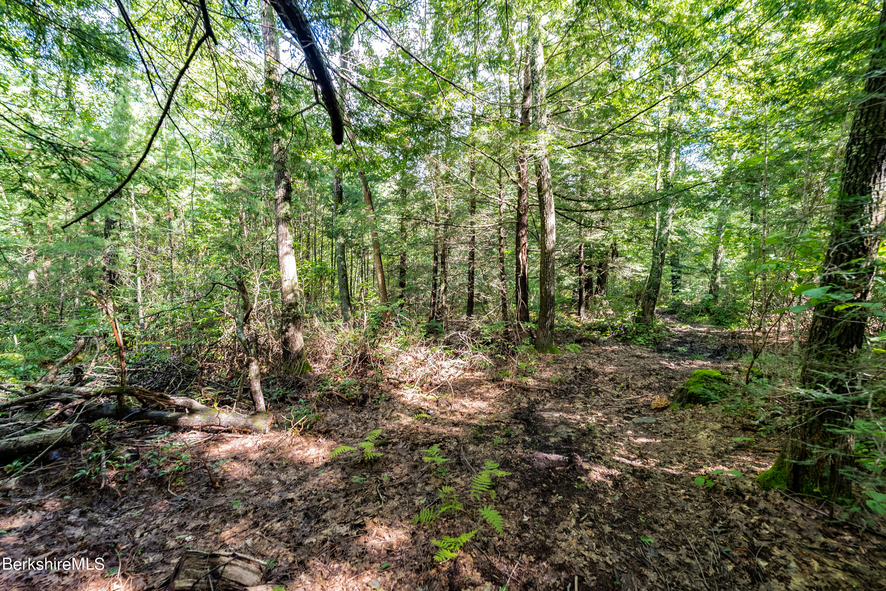 55 Otis-tolland Rd, Lot 2 --, Blandford, Massachusetts image 8