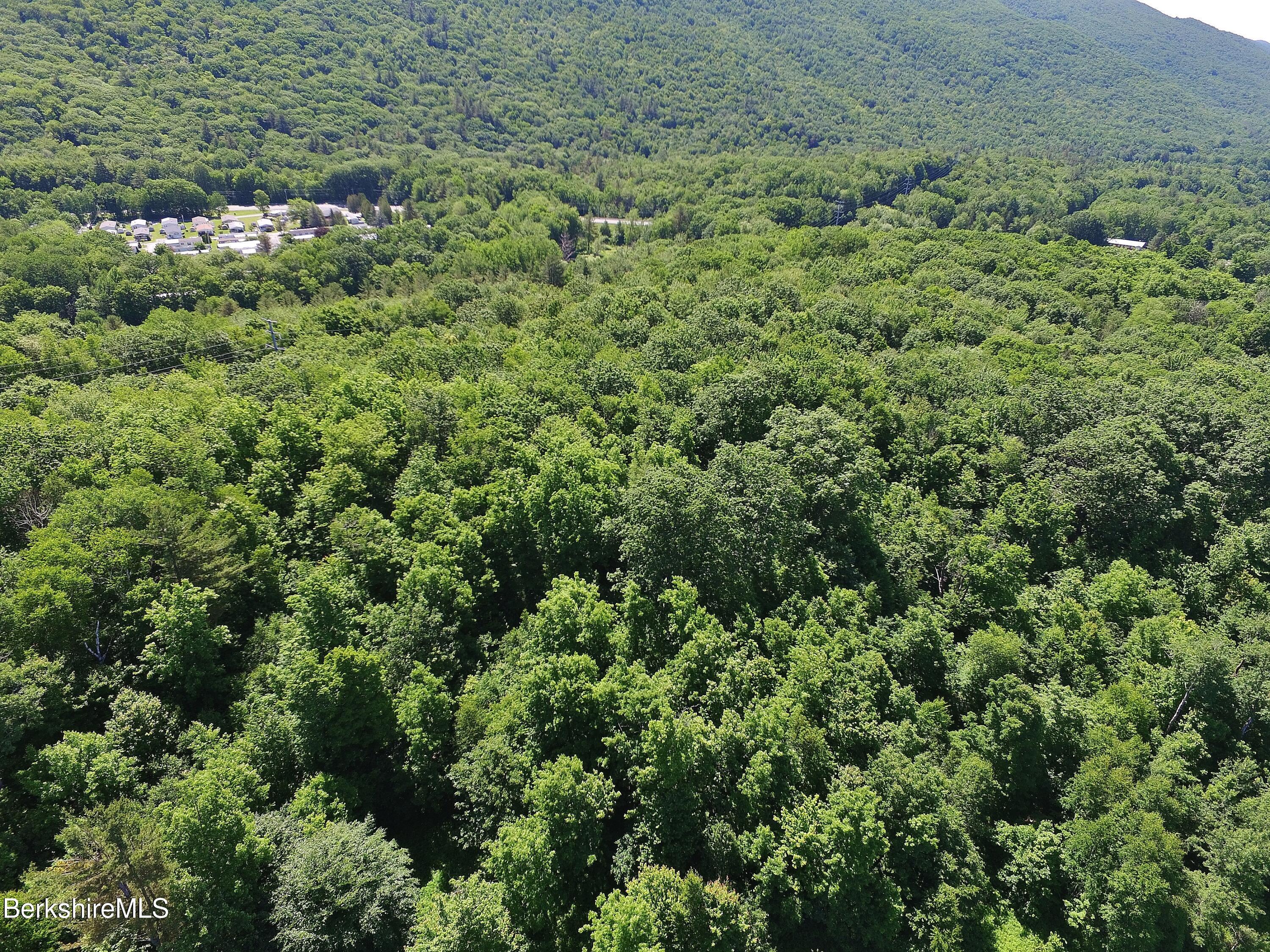 Oak Hill, North Adams, Massachusetts image 18