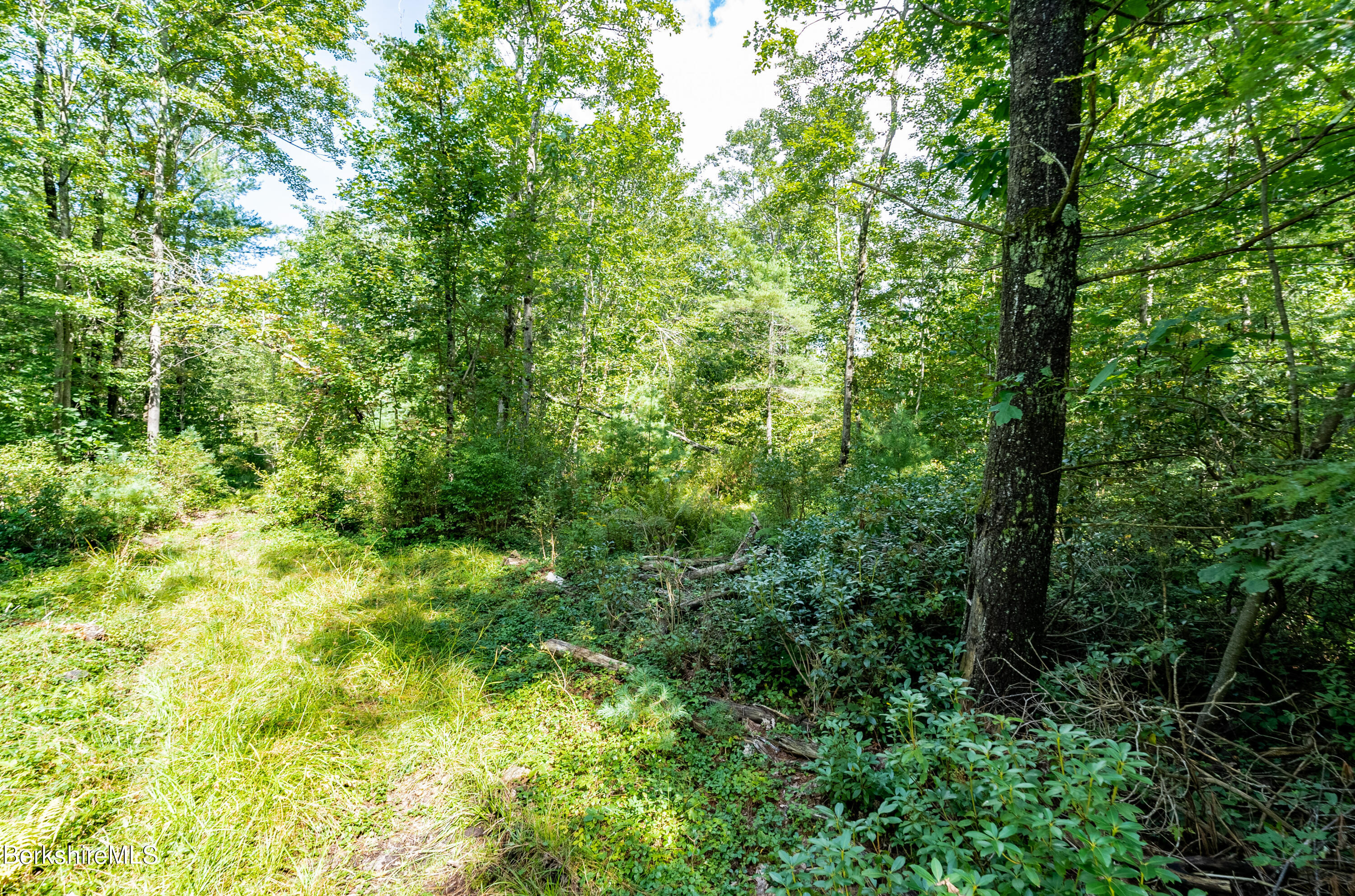 55 Otis-tolland Rd, Lot 1 --, Blandford, Massachusetts image 7