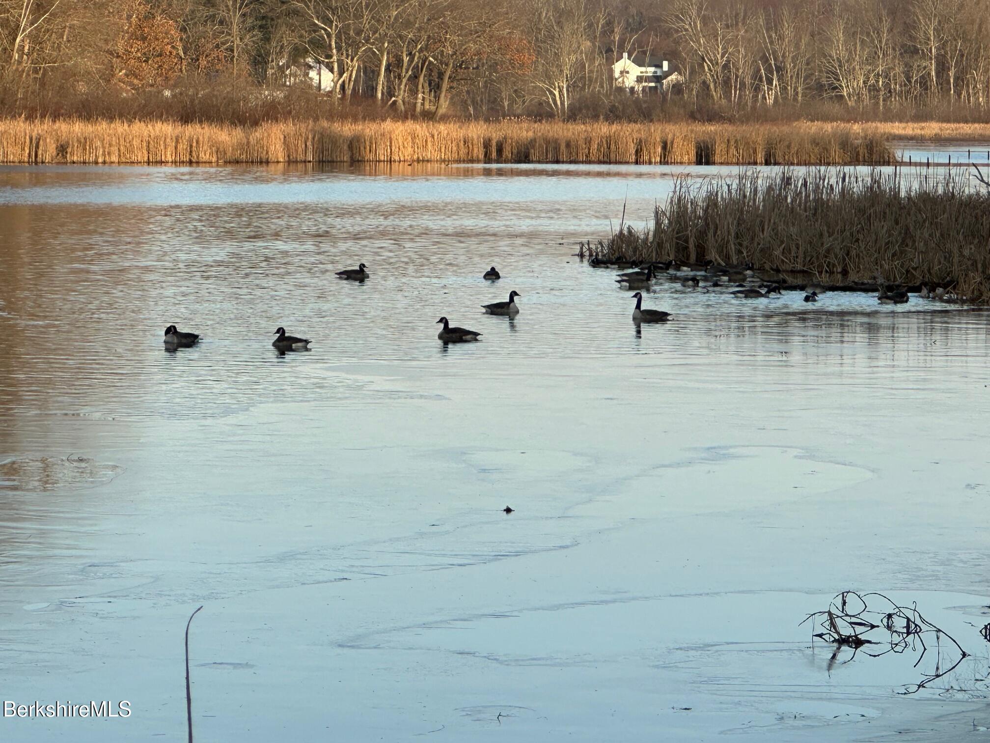 3 & 5 Swamp Rd, West Stockbridge, Massachusetts image 32