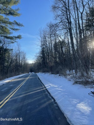 57 PARTRIDGE RD, LANESBOROUGH, MA 01237 - Image 8b44ec00ccd1ce4d268480d9caf3c4fb/2043726741