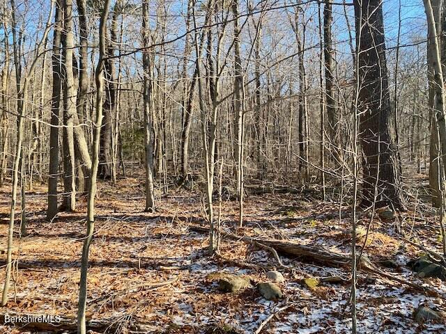 Lot 19-I West Center Rd, Otis, Massachusetts image 6