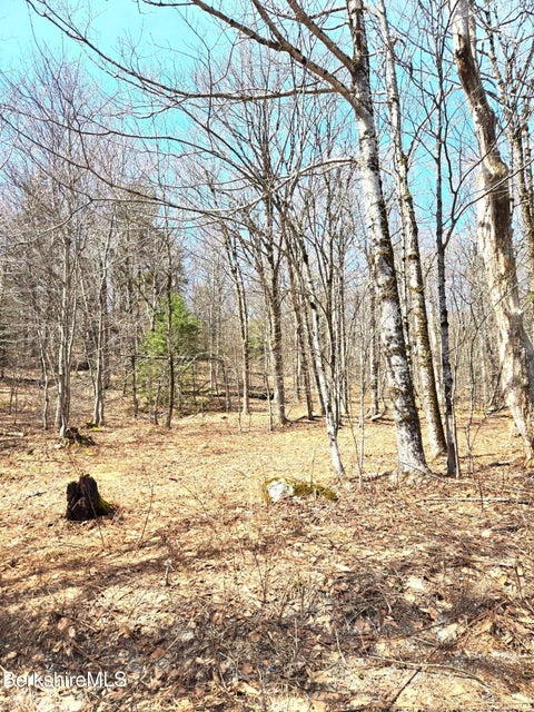 Vacant Land For Sale - 29 Moore's Rd<br/> Florida, MA 01247