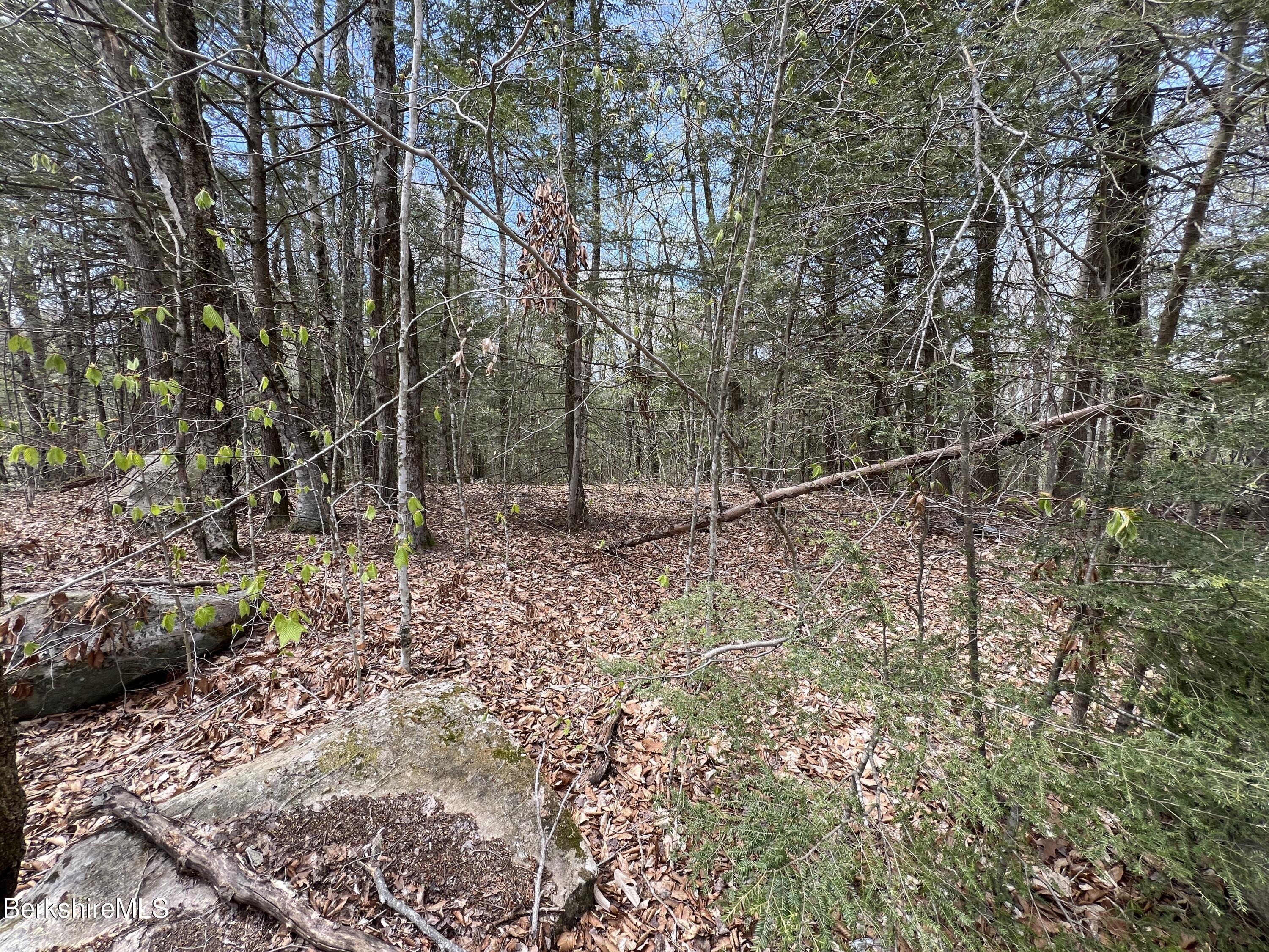 Lot32 Valley View, Becket, Massachusetts image 4