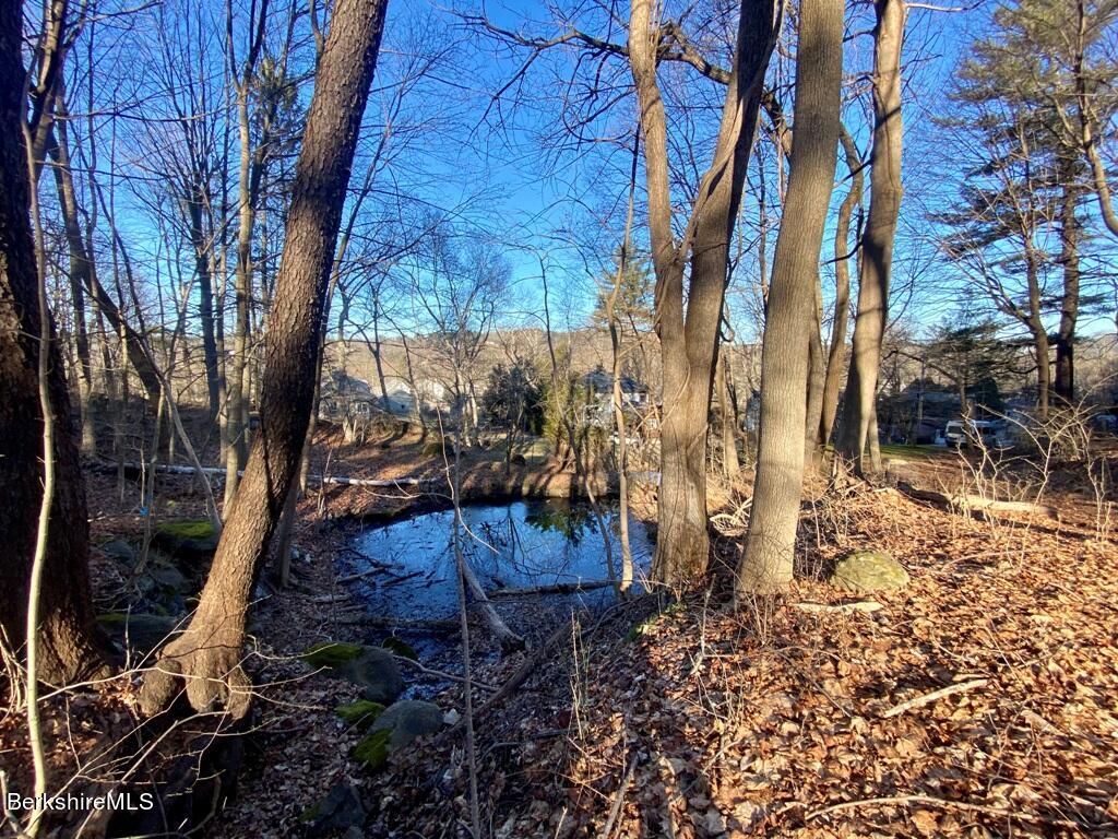 Lot 1 Park St, Great Barrington, Massachusetts image 9
