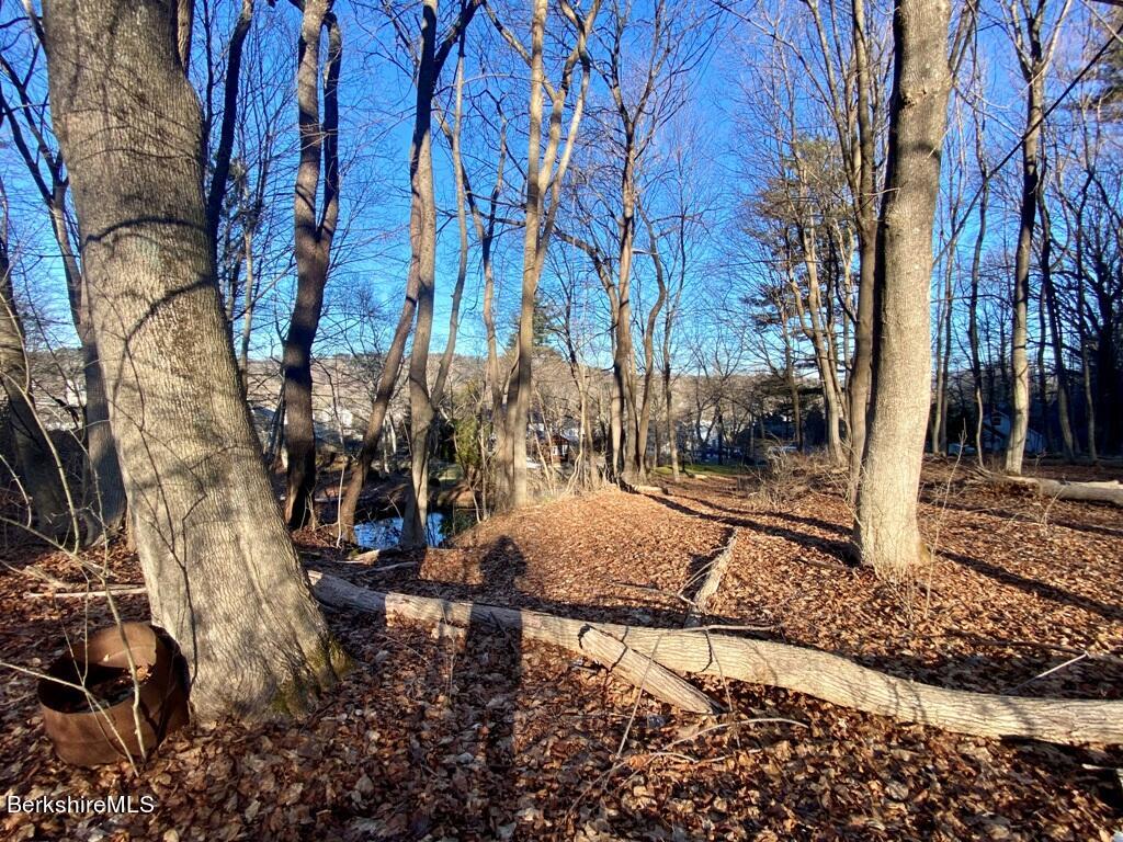 Lot 1 Park St, Great Barrington, Massachusetts image 5