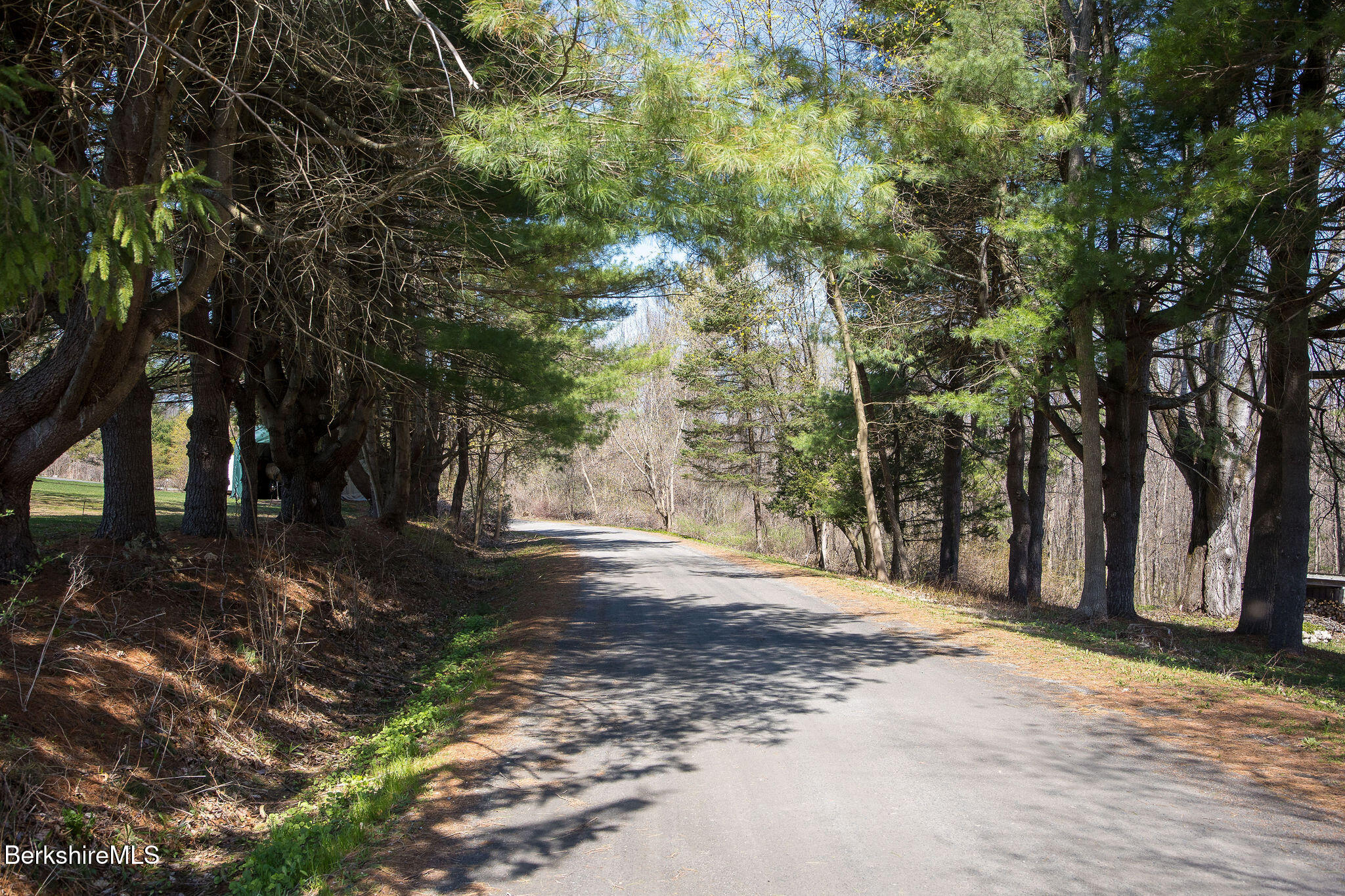 10 Miller View Rd, Egremont, Massachusetts image 14