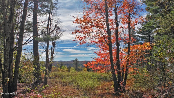 157 WASHINGTON ST, BECKET, MA 01223 - Image 945a5ecf7eebf322dc4639dff4da21d9/2436839419