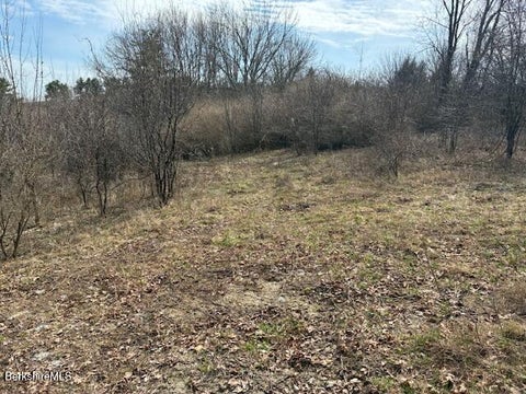 Vacant Land For Sale - Mill River To Great Barrington Rd<br/> New Marlborough, MA 01230